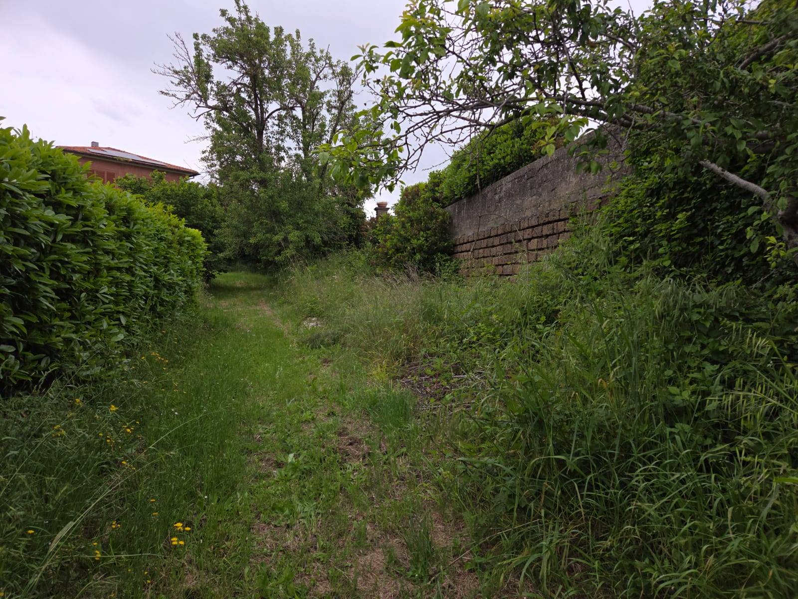 Terreno edificabile in vendita a Caprarola