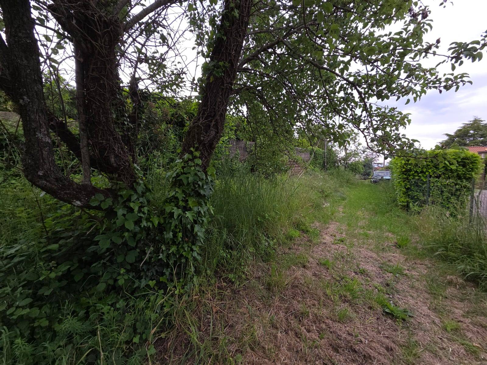 Terreno edificabile in vendita a Caprarola