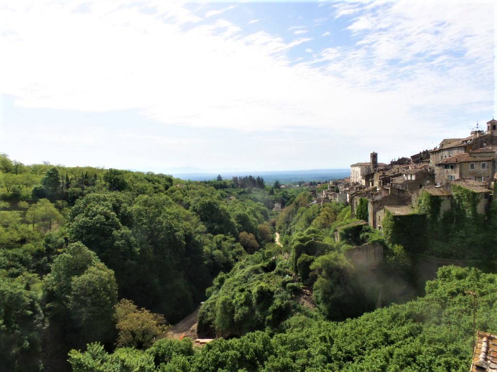 Appartamento in vendita a Caprarola, Centro storico