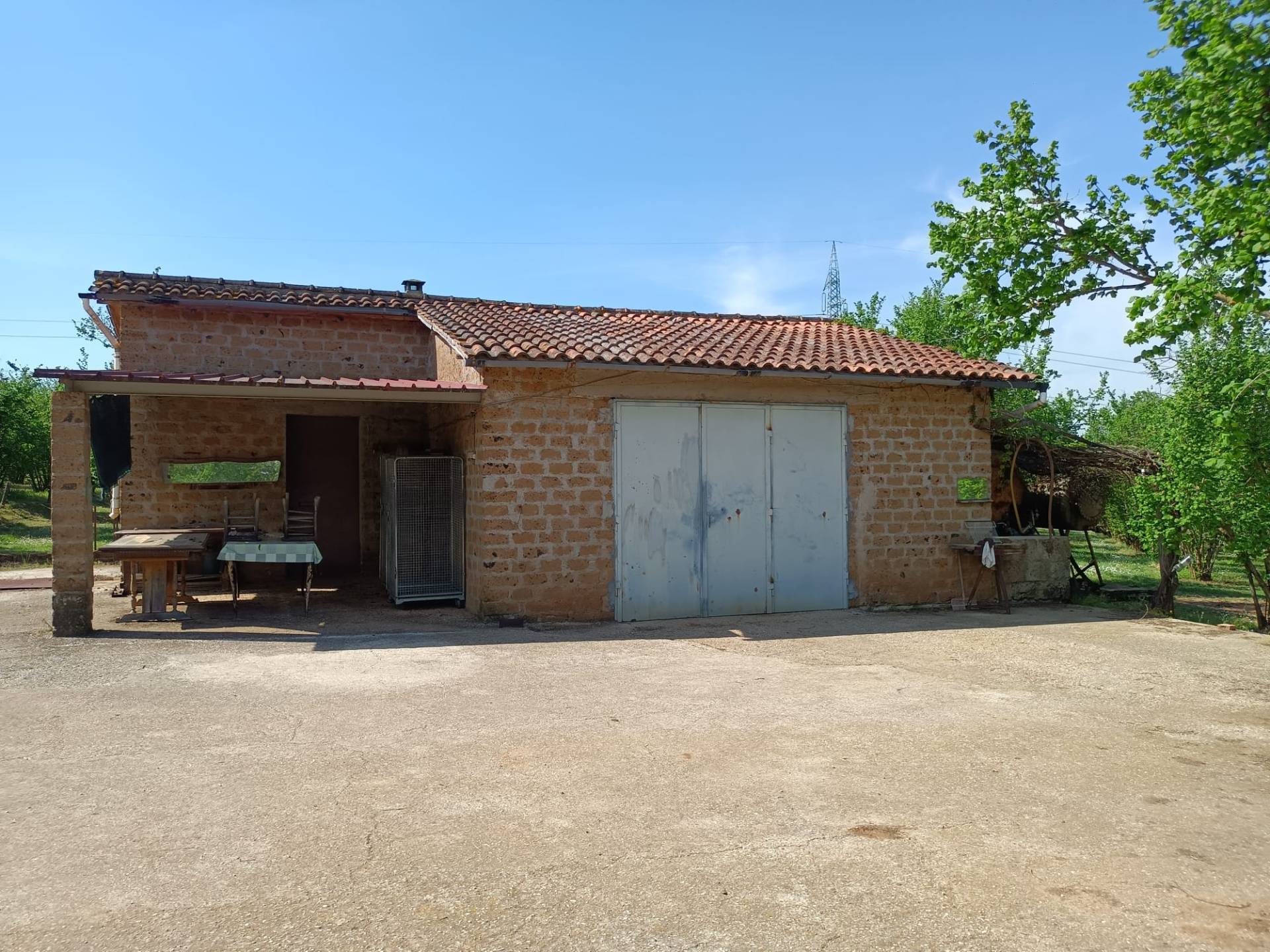 Terreno Agricolo in vendita a Gallese