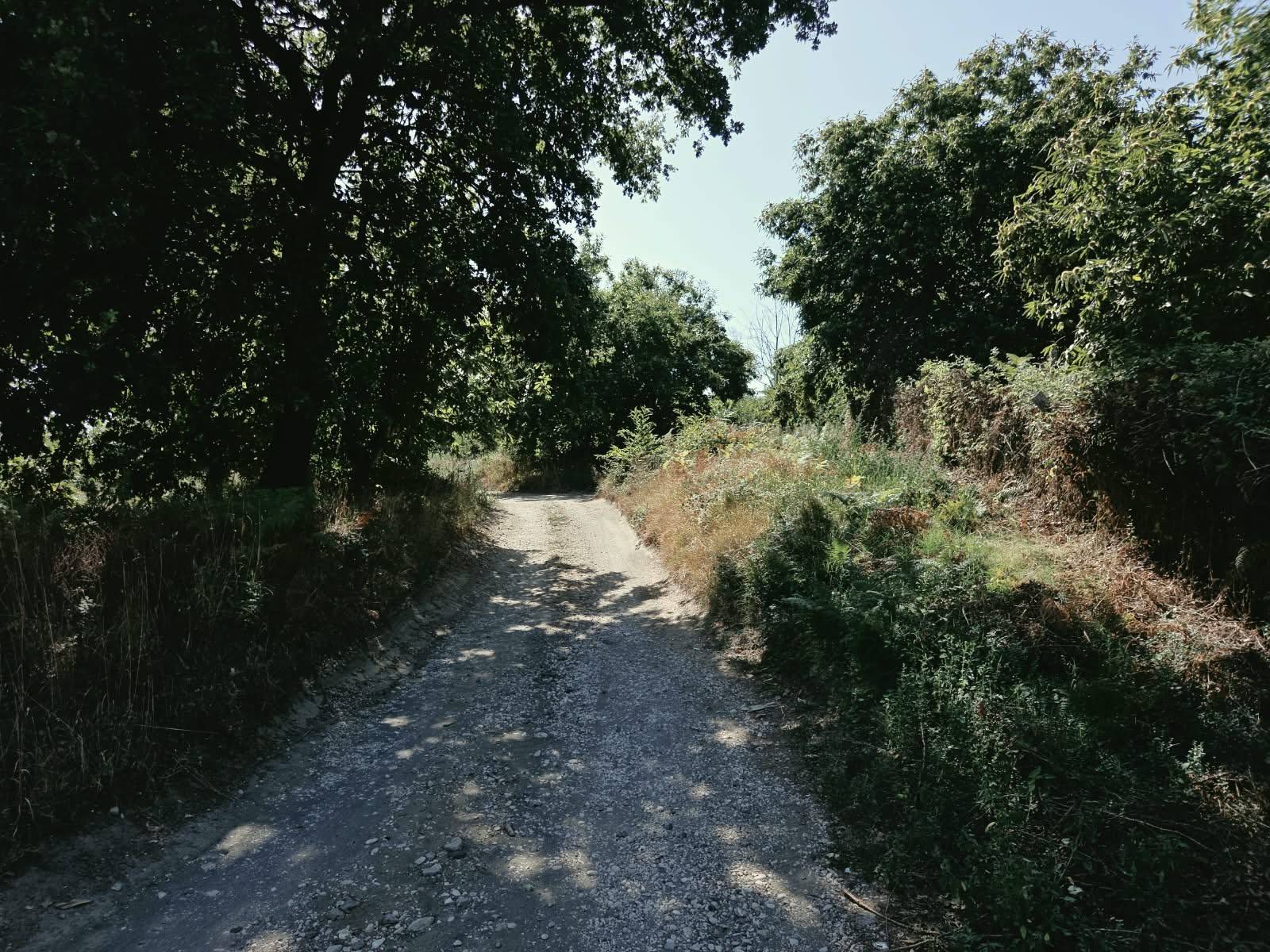 Terreno Agricolo in vendita a Caprarola