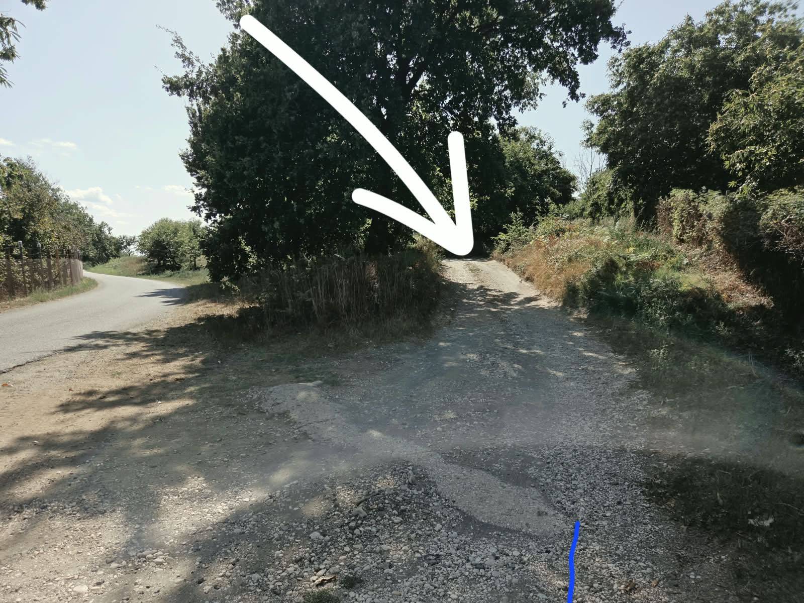 Terreno Agricolo in vendita a Caprarola