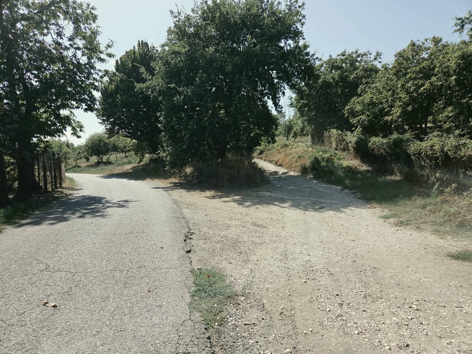 Terreno Agricolo in vendita a Caprarola