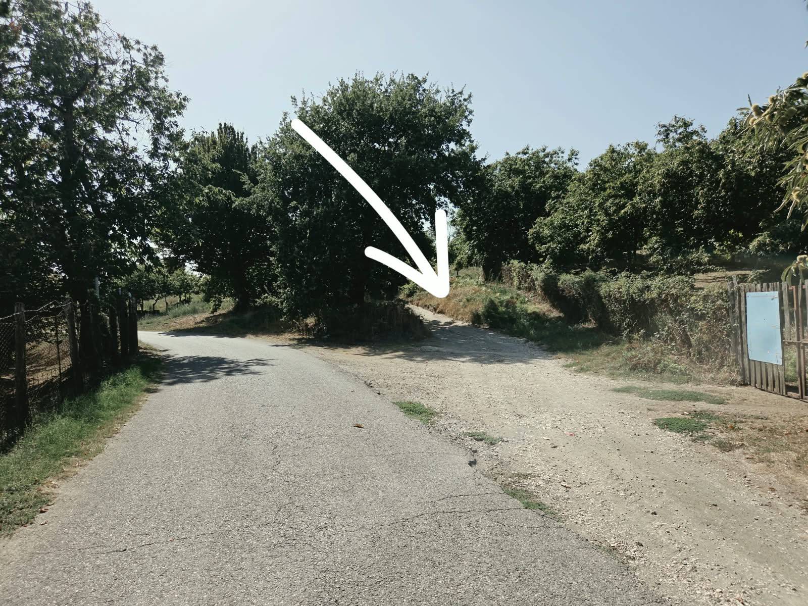 Terreno Agricolo in vendita a Caprarola