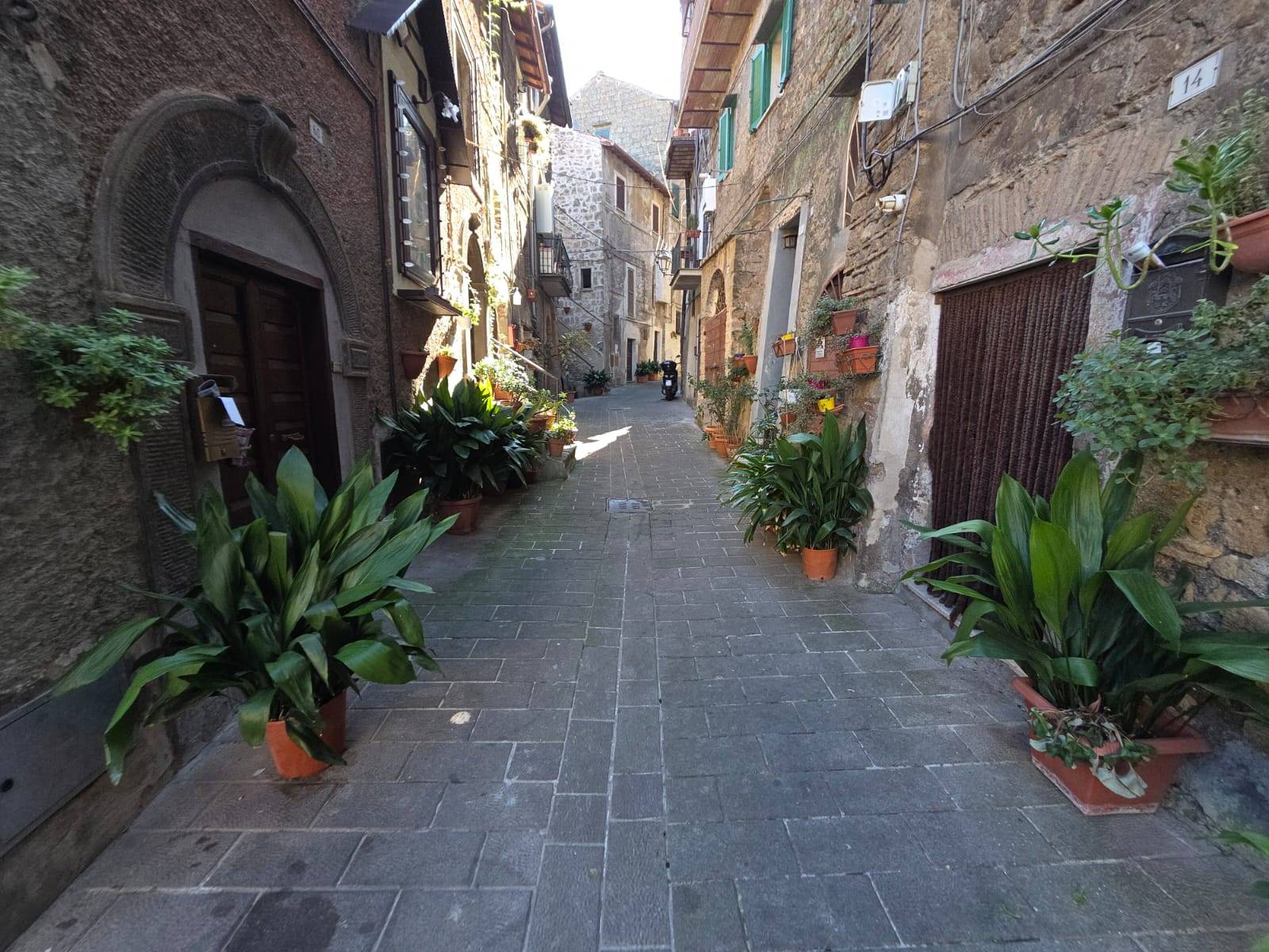 Appartamento in vendita a Caprarola, Centro storico