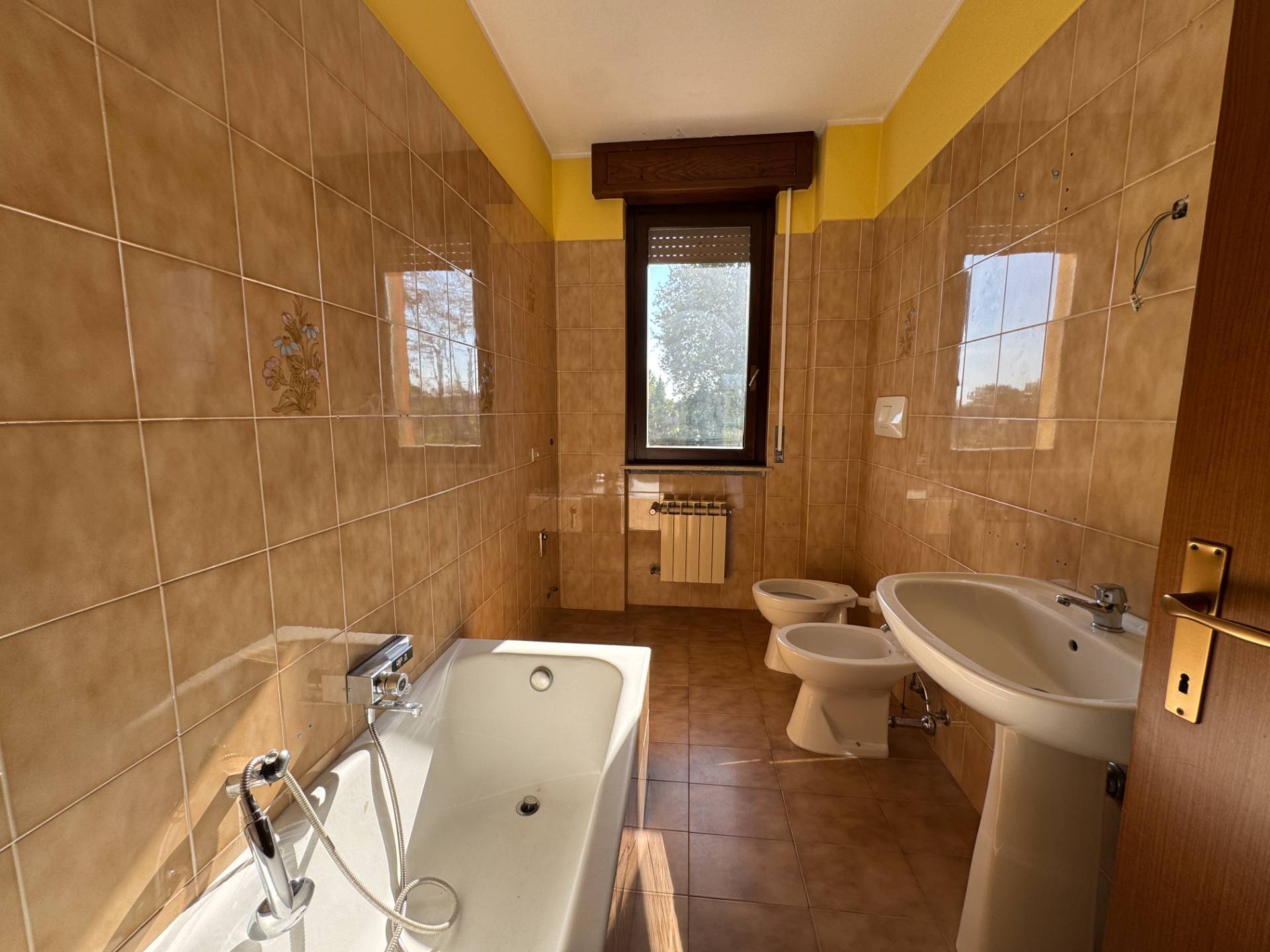 Appartamento in affitto a Carnago, Palazzetto