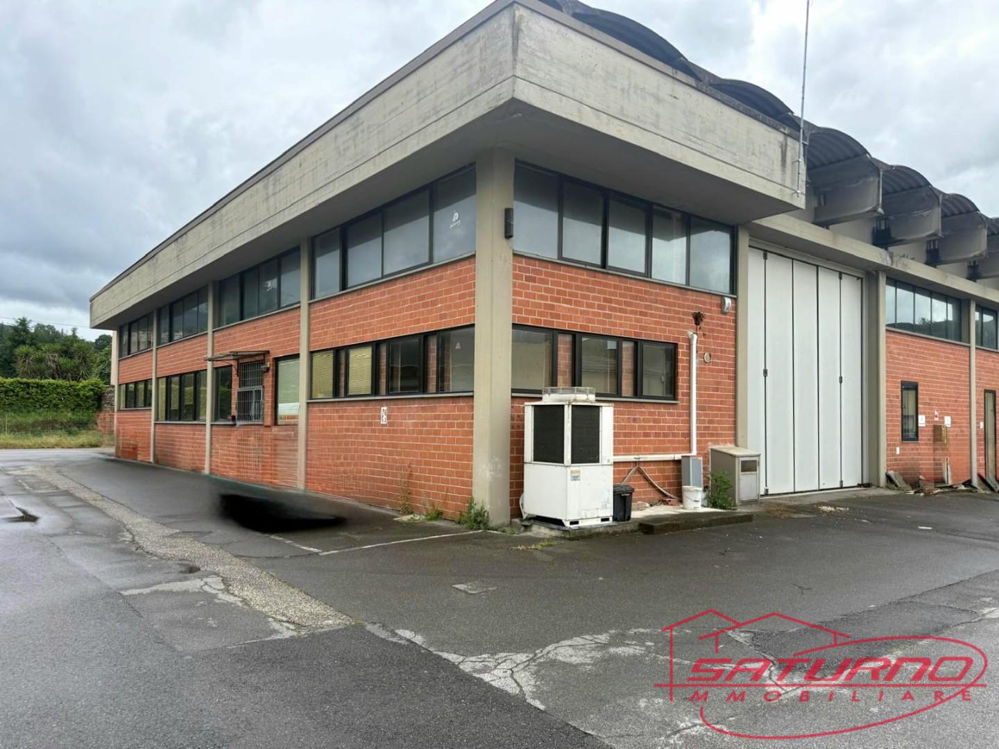 Capannone in affitto, Capannori guamo