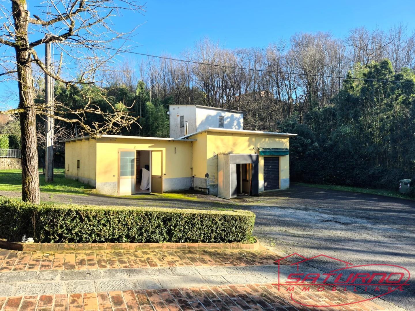 Locale commerciale in affitto, Capannori marlia