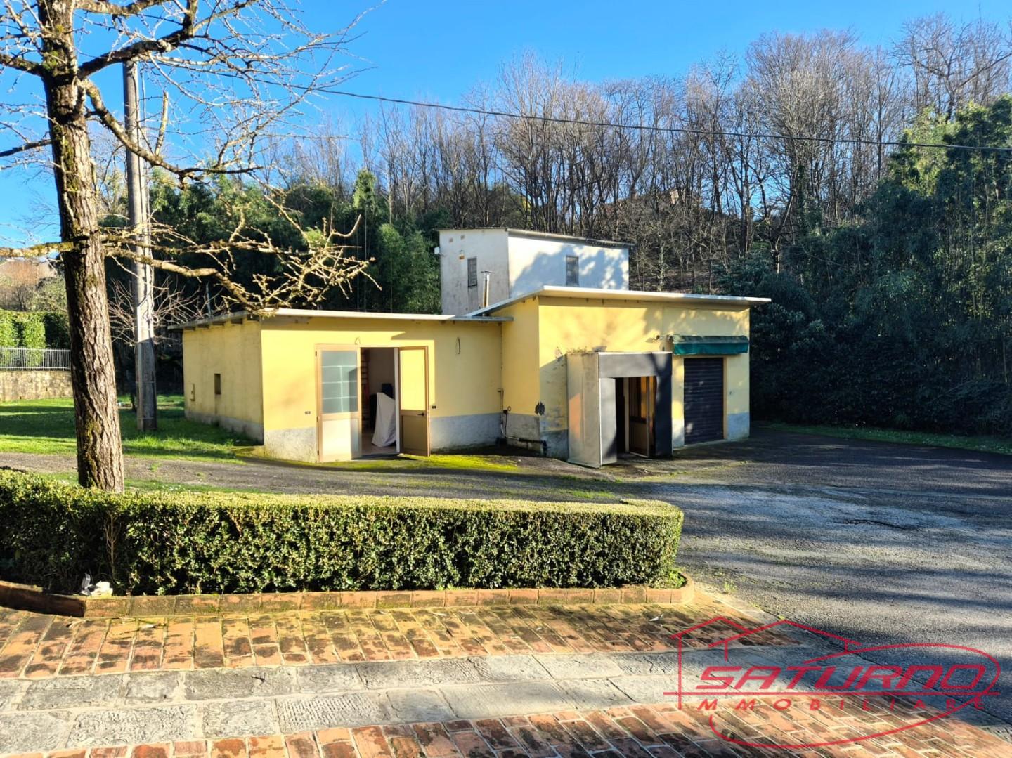 Locale commerciale in affitto, Capannori marlia