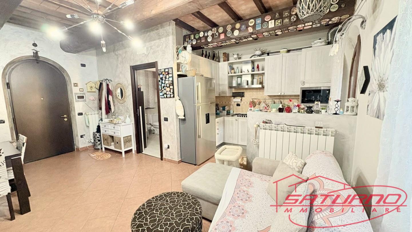 Villa con giardino, Capannori zone