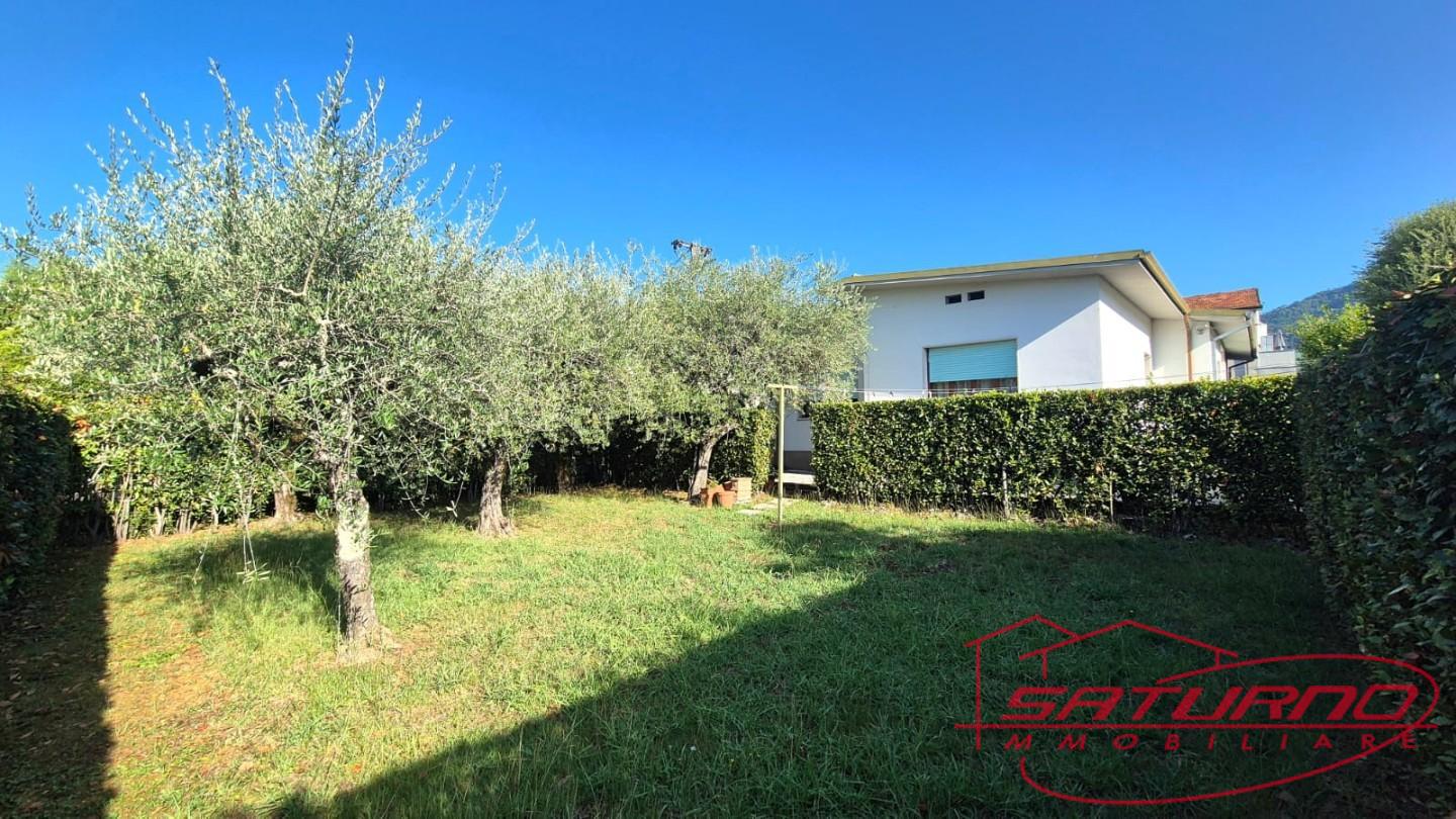 Villa con giardino, Lucca saltocchio