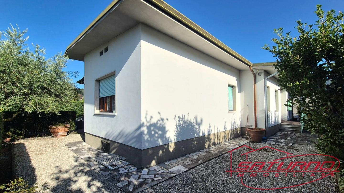 Villa con giardino, Lucca saltocchio