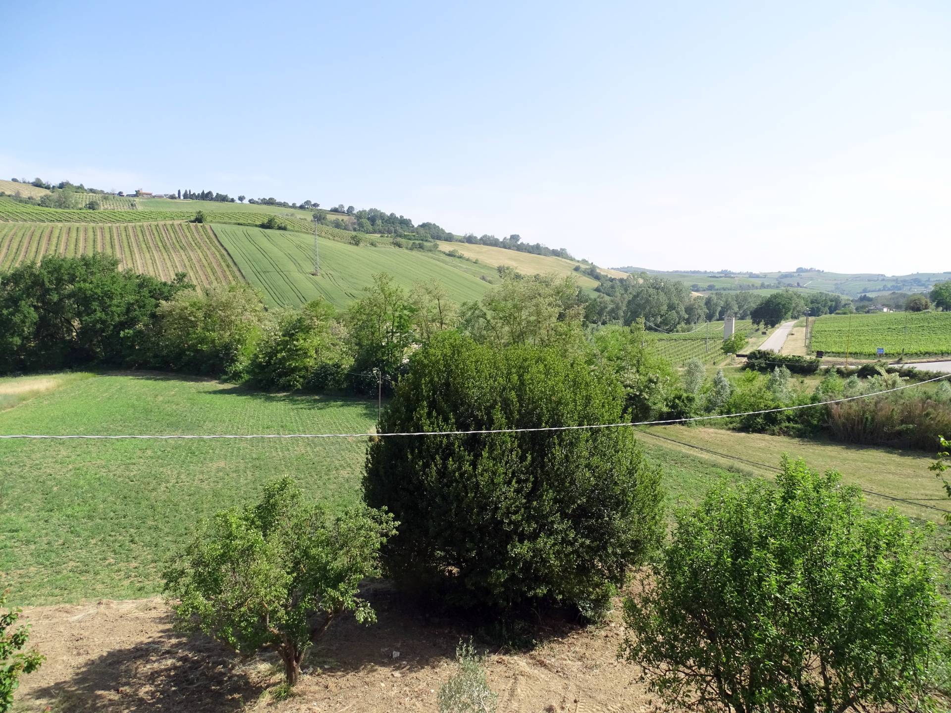 immagine annuncio 2 di 6