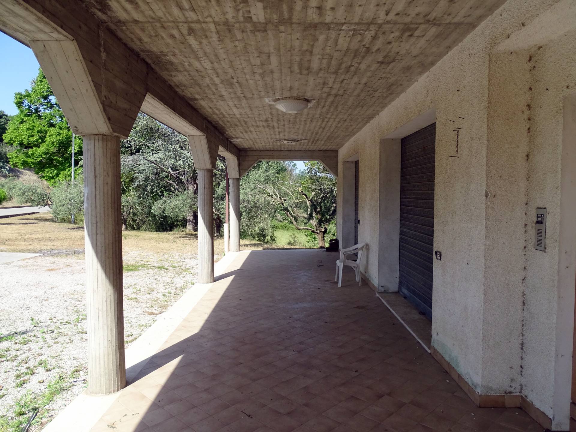immagine annuncio 4 di 6