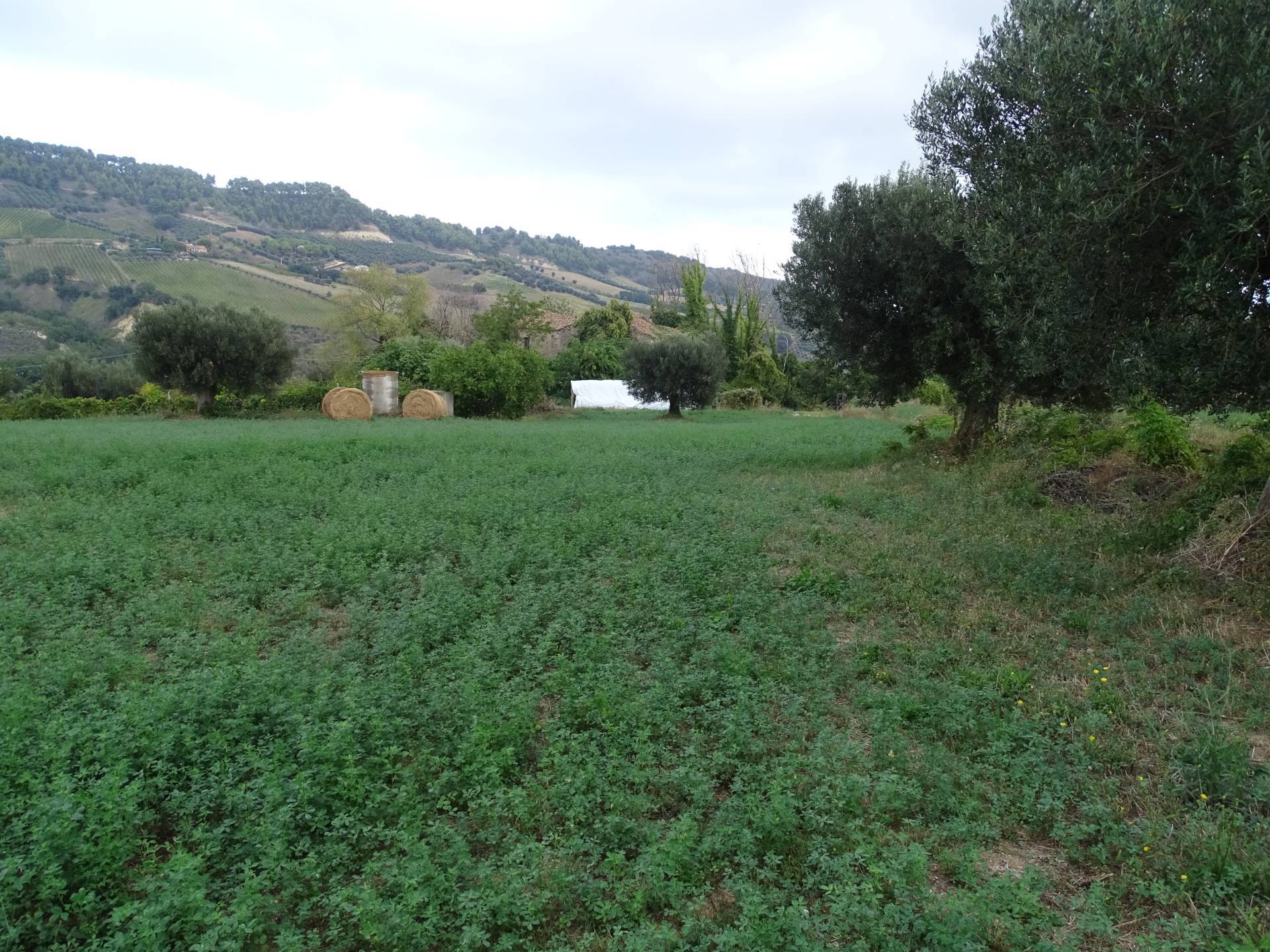 immagine annuncio 2 di 6