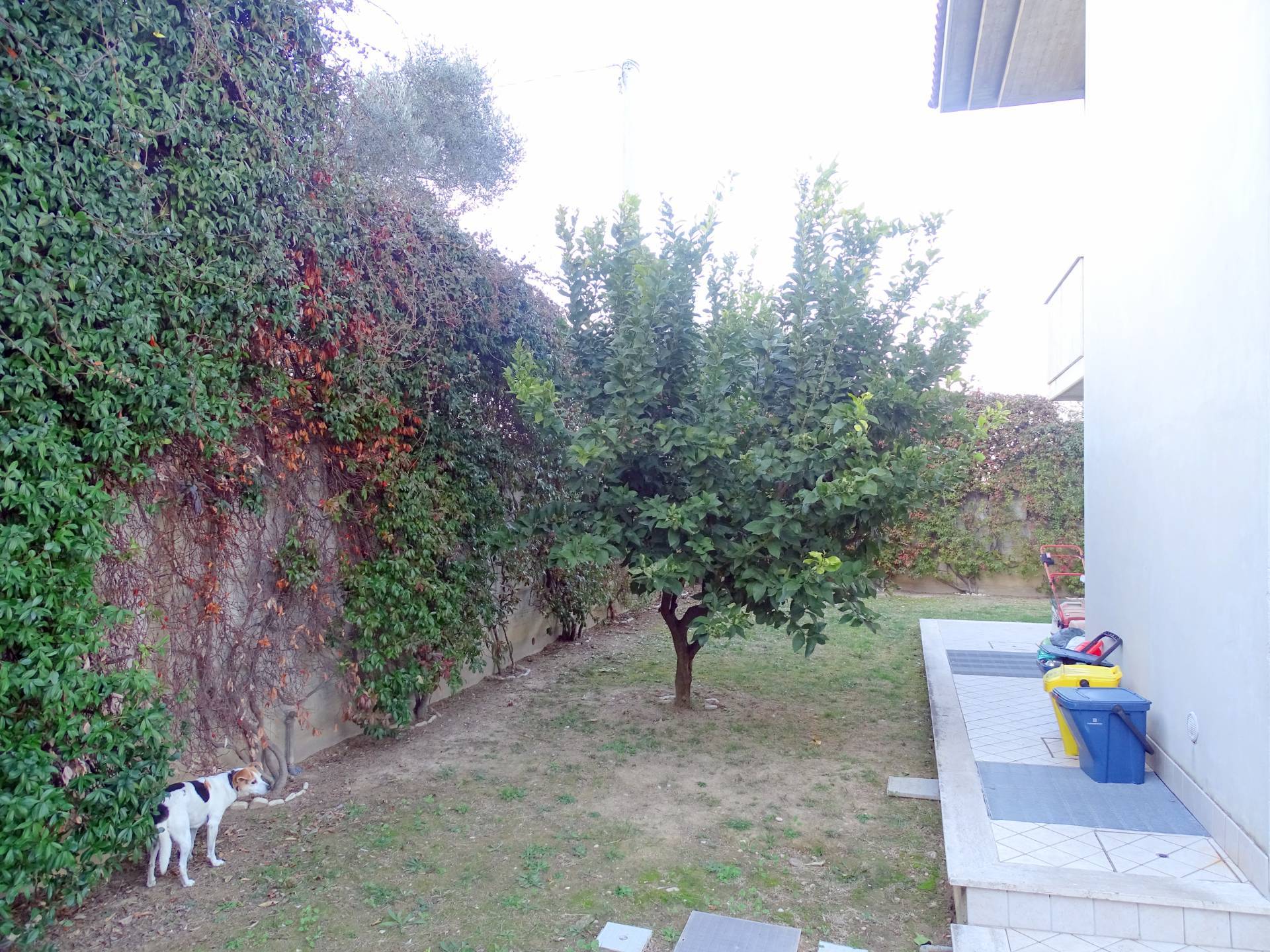 immagine annuncio 4 di 6