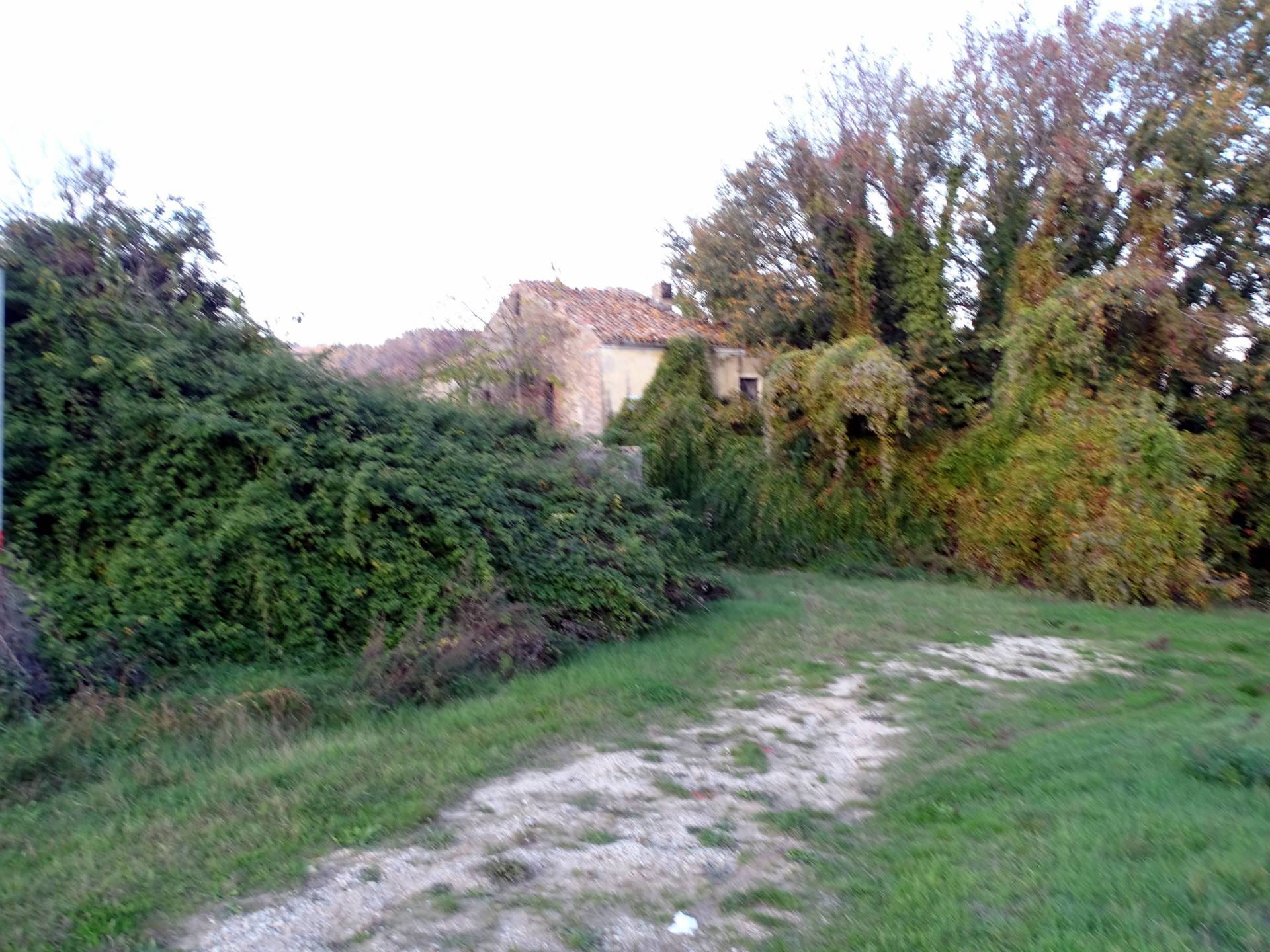 Casale colonico / Rustico in vendita a Monteprandone, Collinare