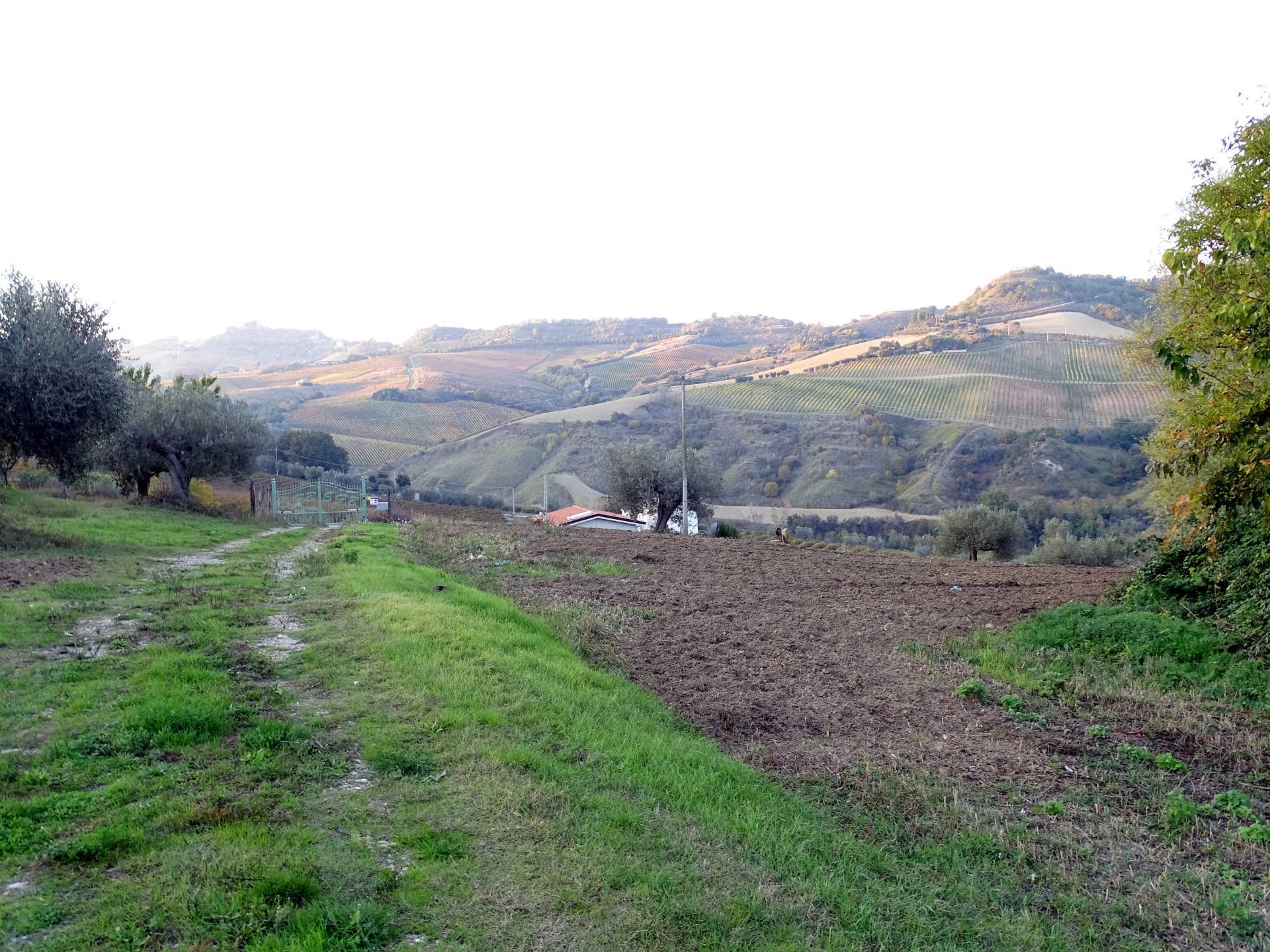 Casale colonico / Rustico in vendita a Monteprandone, Collinare