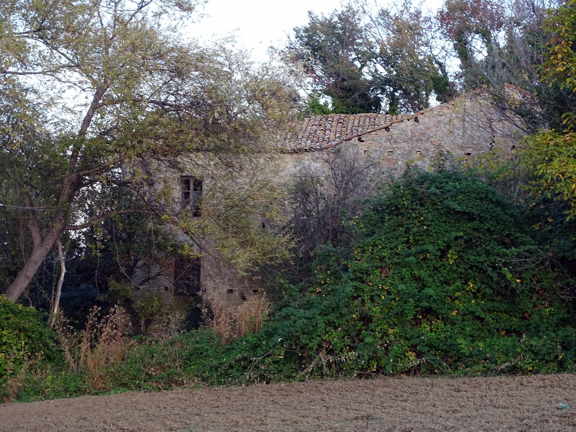Casale colonico / Rustico in vendita a Monteprandone, Collinare