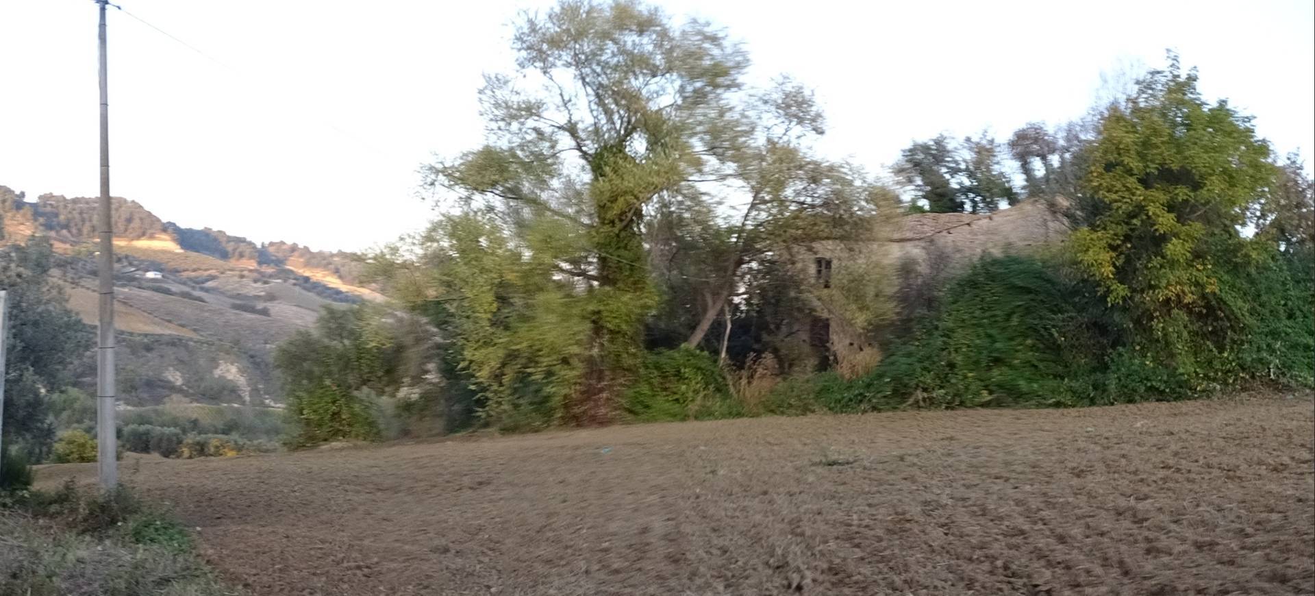 Casale colonico / Rustico in vendita a Monteprandone, Collinare