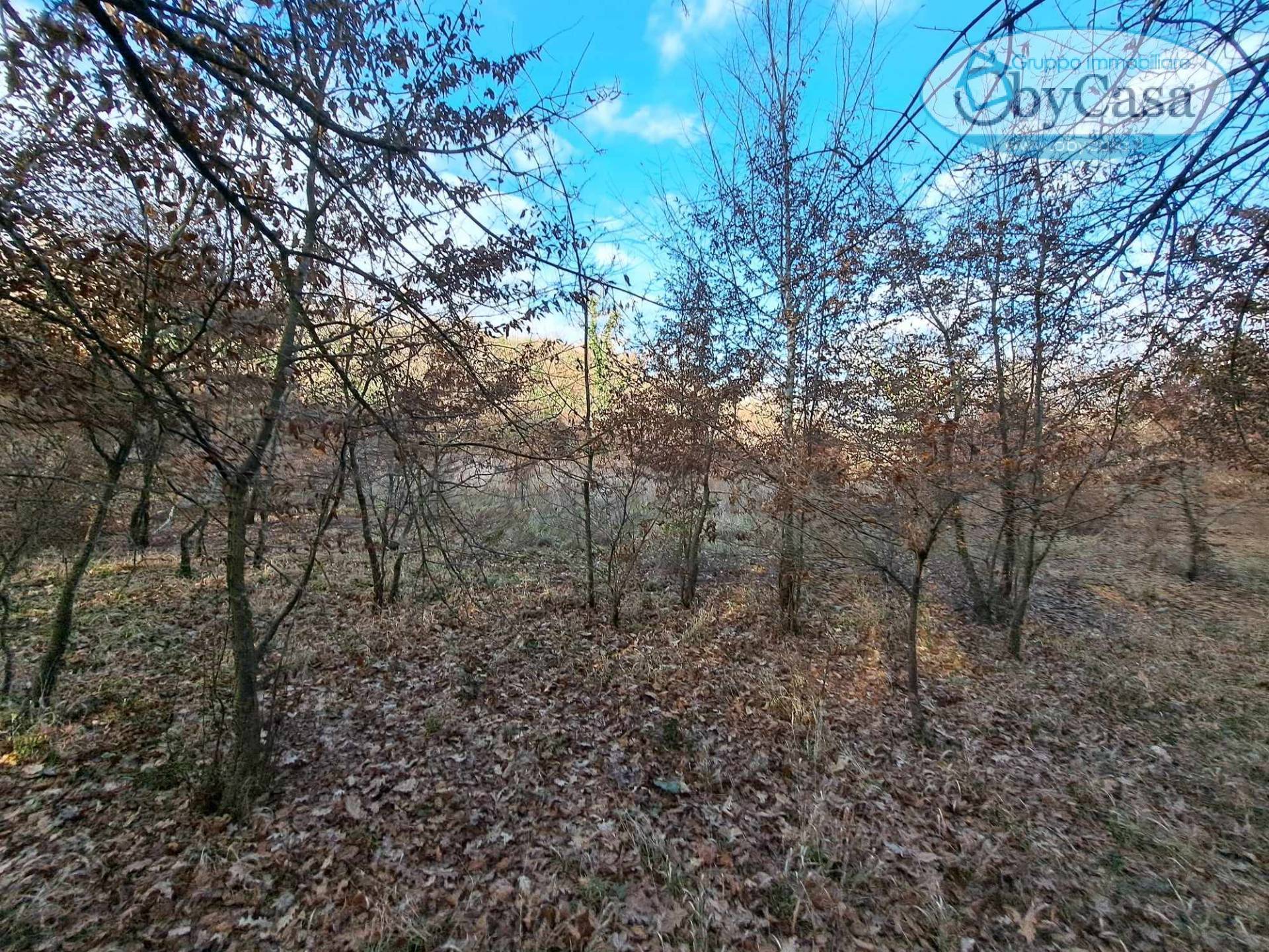 Terreno Agricolo in vendita a Oriolo Romano