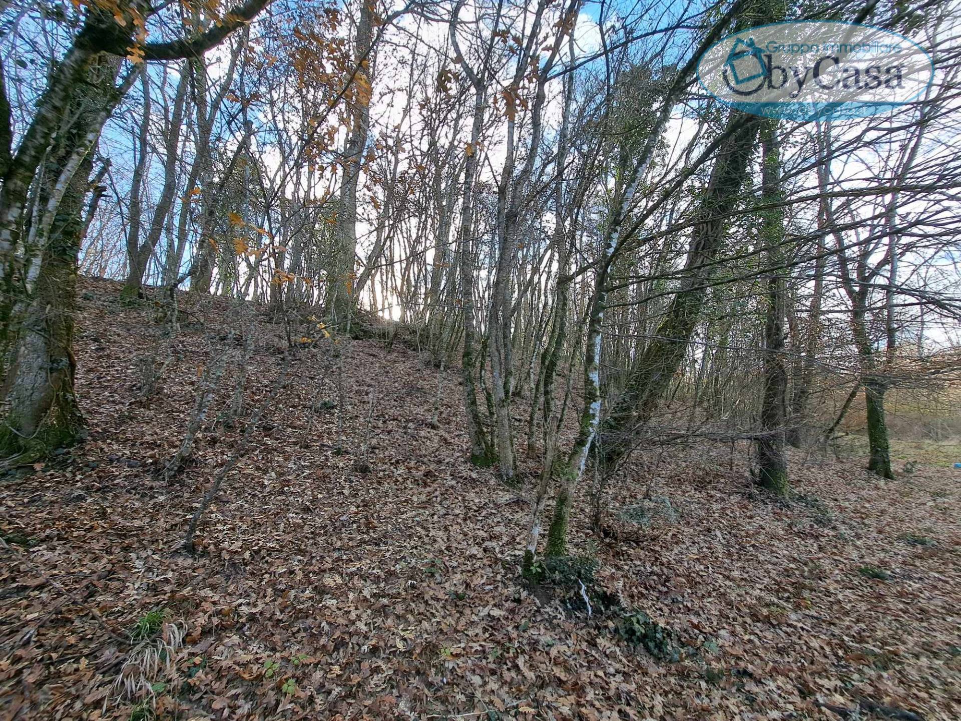 Terreno Agricolo in vendita a Oriolo Romano