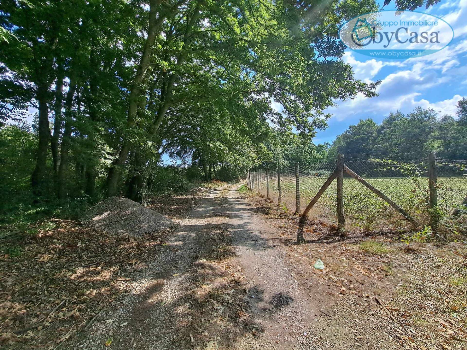 Terreno Agricolo in vendita a Oriolo Romano