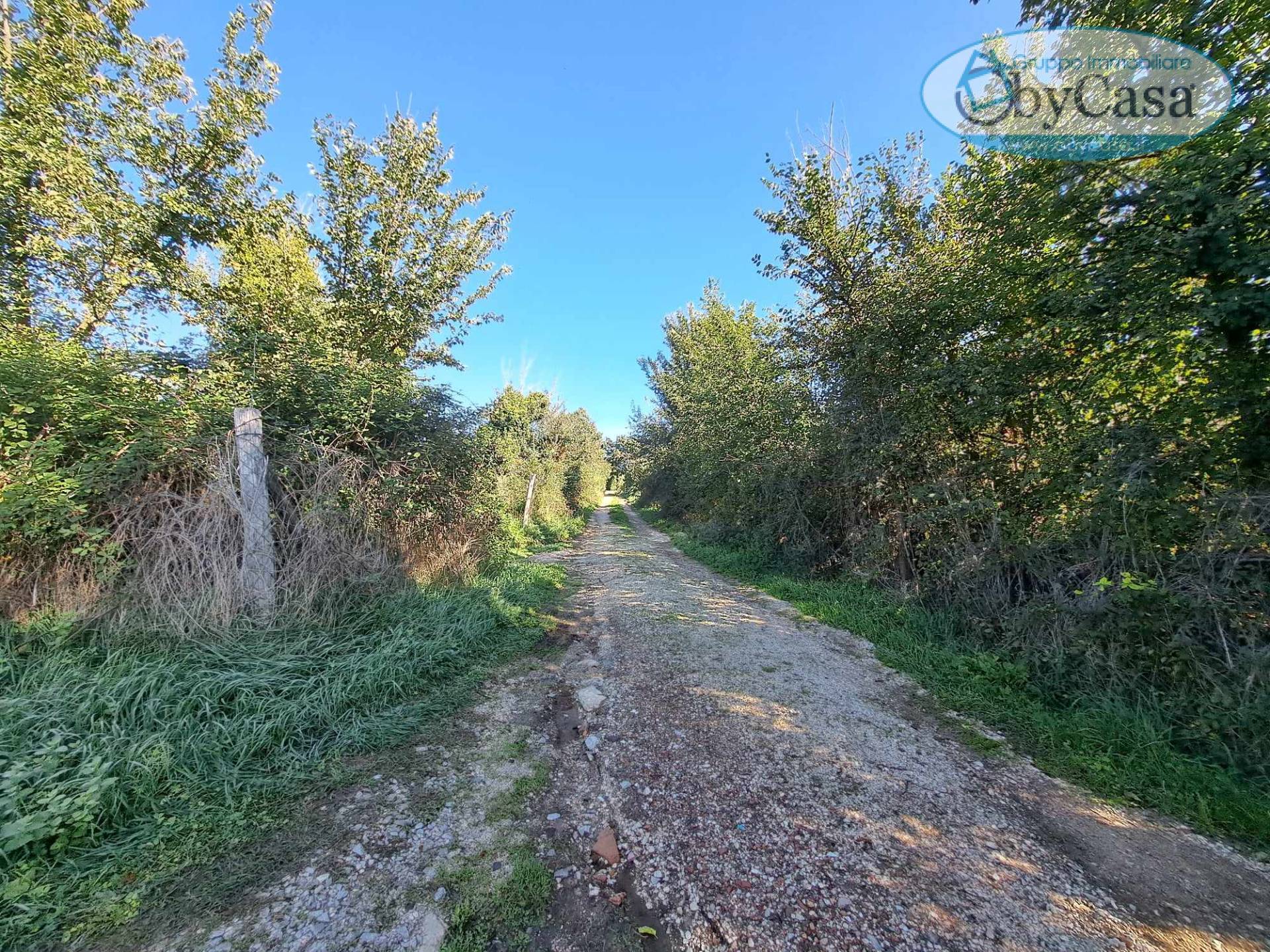 Terreno Agricolo in vendita a Barbarano Romano