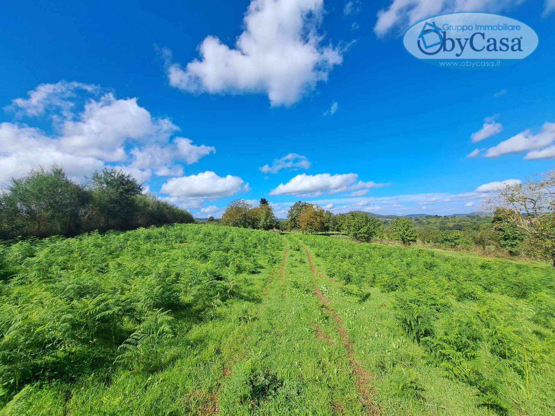 Terreno Agricolo in vendita a Oriolo Romano