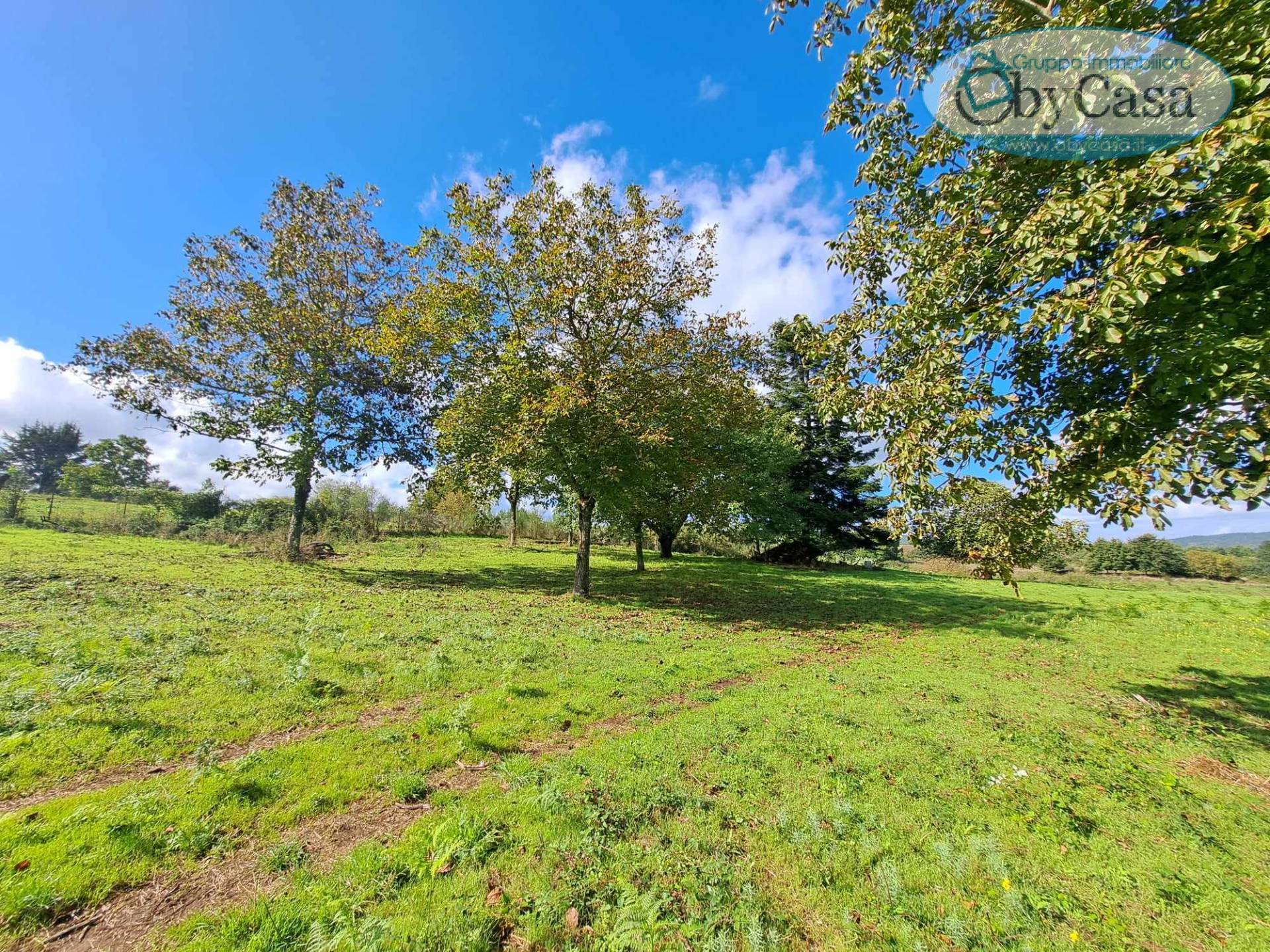 Terreno Agricolo in vendita a Oriolo Romano