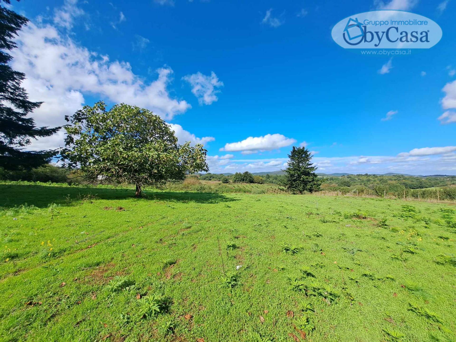 Terreno Agricolo in vendita a Oriolo Romano