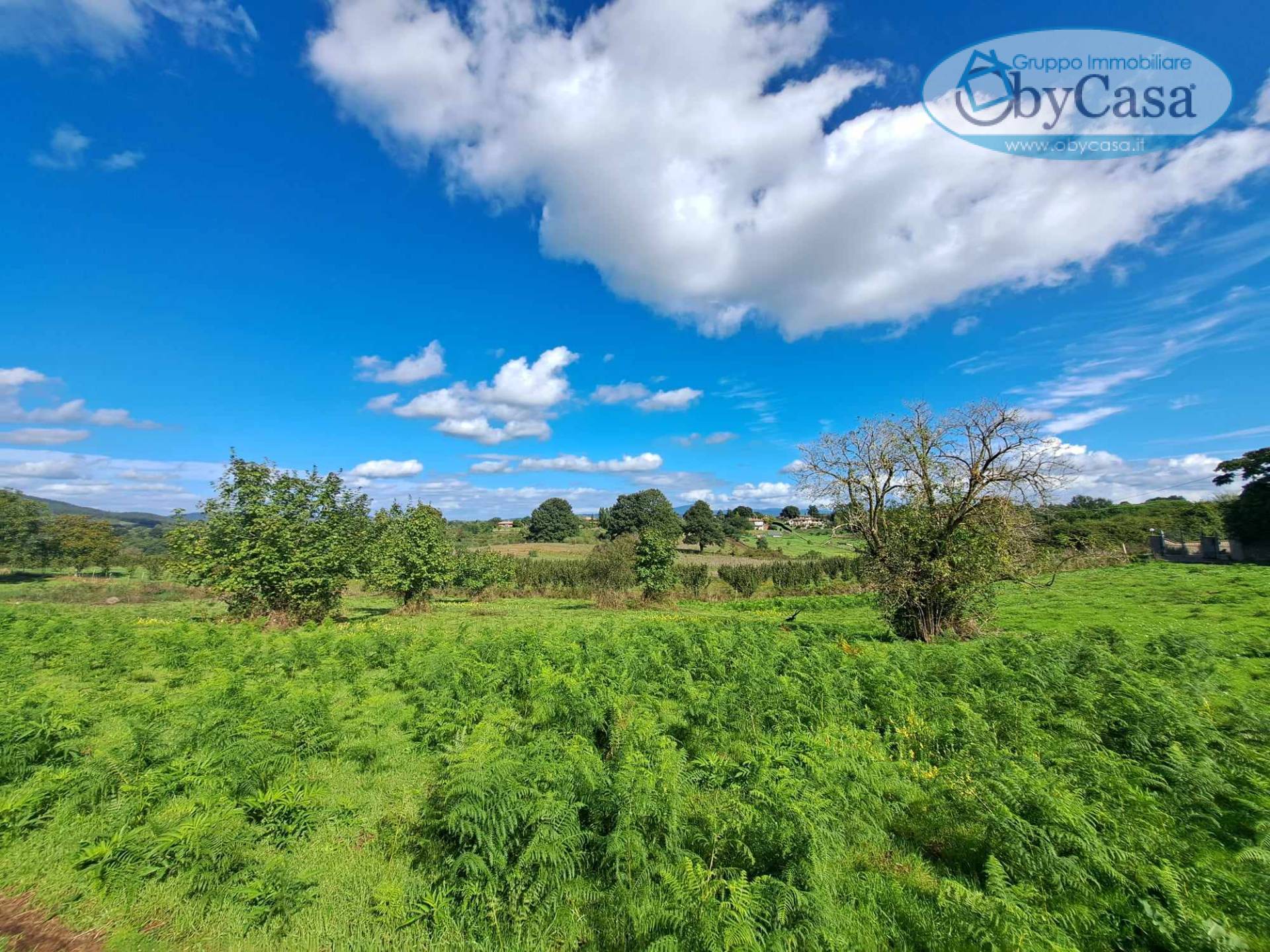 Terreno Agricolo in vendita a Oriolo Romano