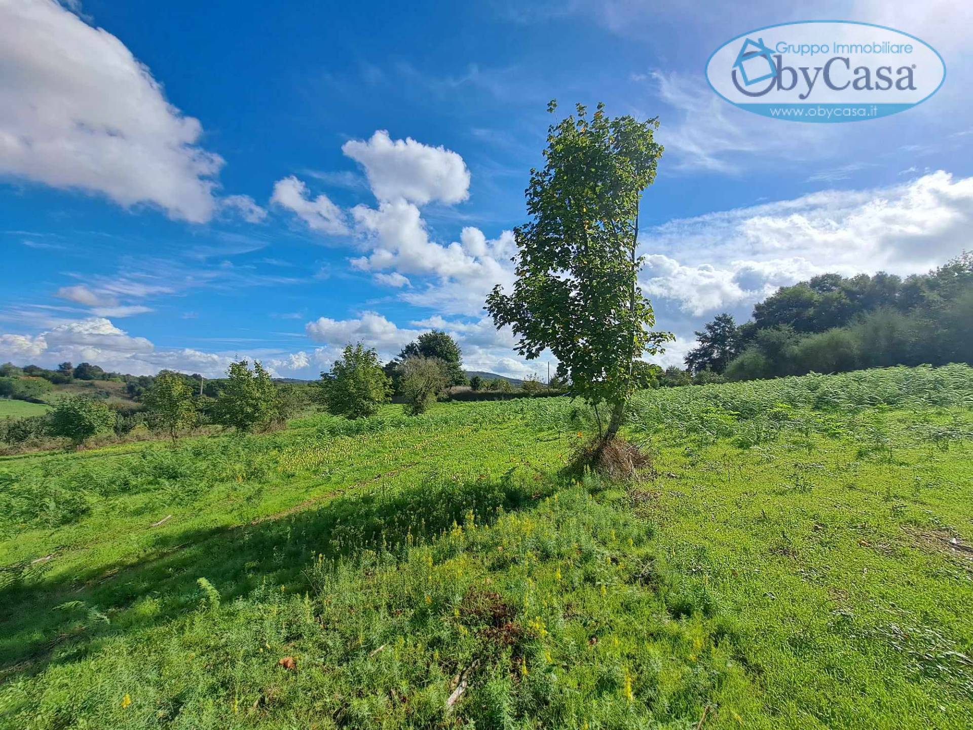 Terreno Agricolo in vendita a Oriolo Romano