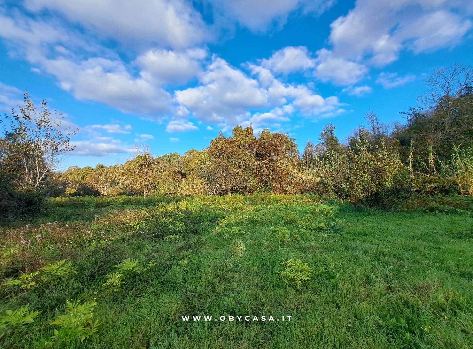 Casa di Campagna in vendita a Bassano Romano, bassano romano