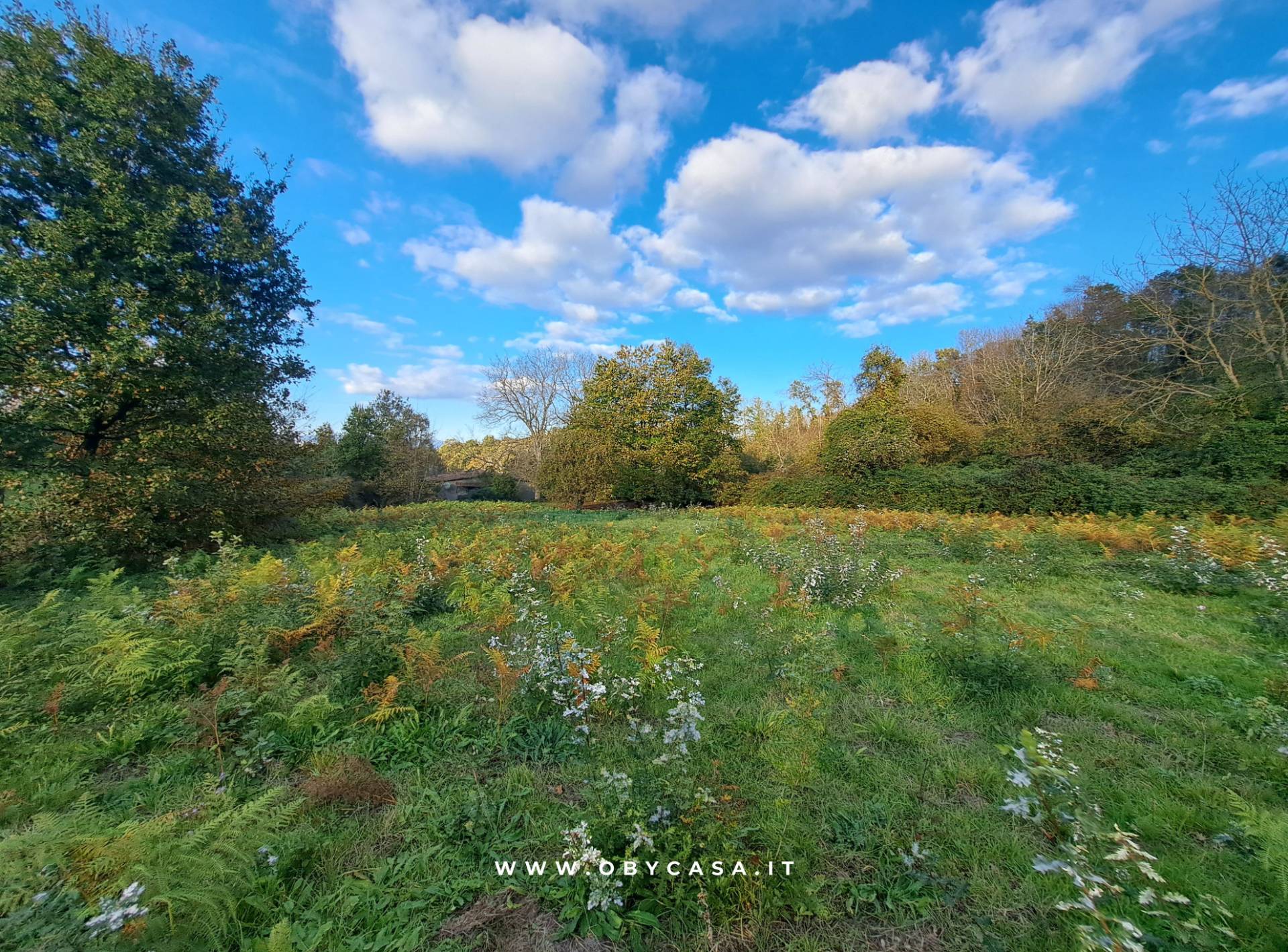 Casa di Campagna in vendita a Bassano Romano, bassano romano