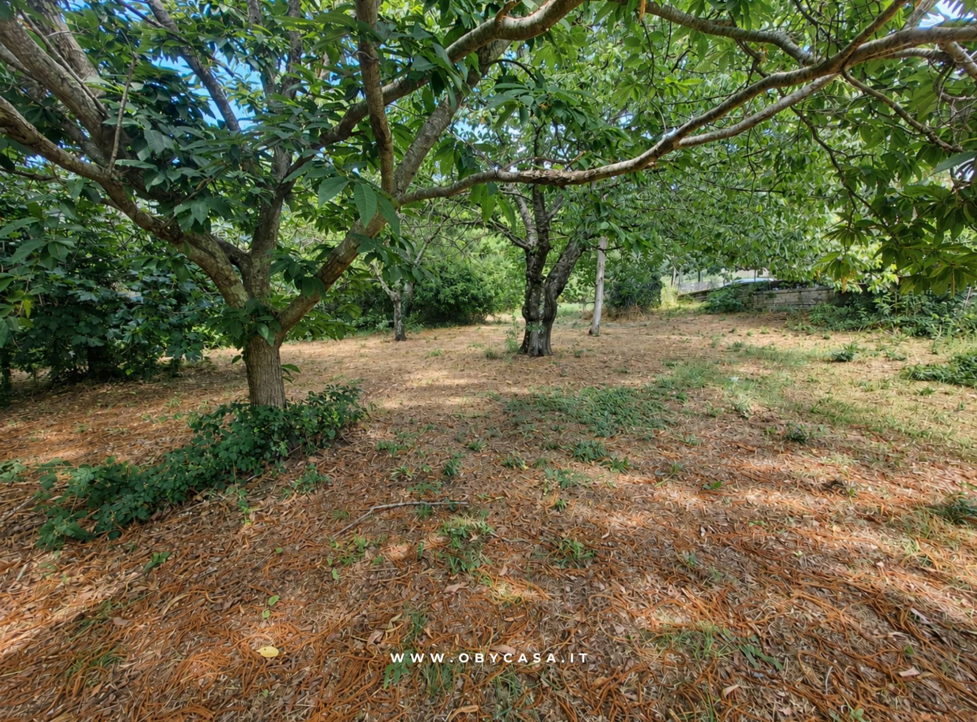 Terreno edificabile in vendita a Canale Monterano, Centro
