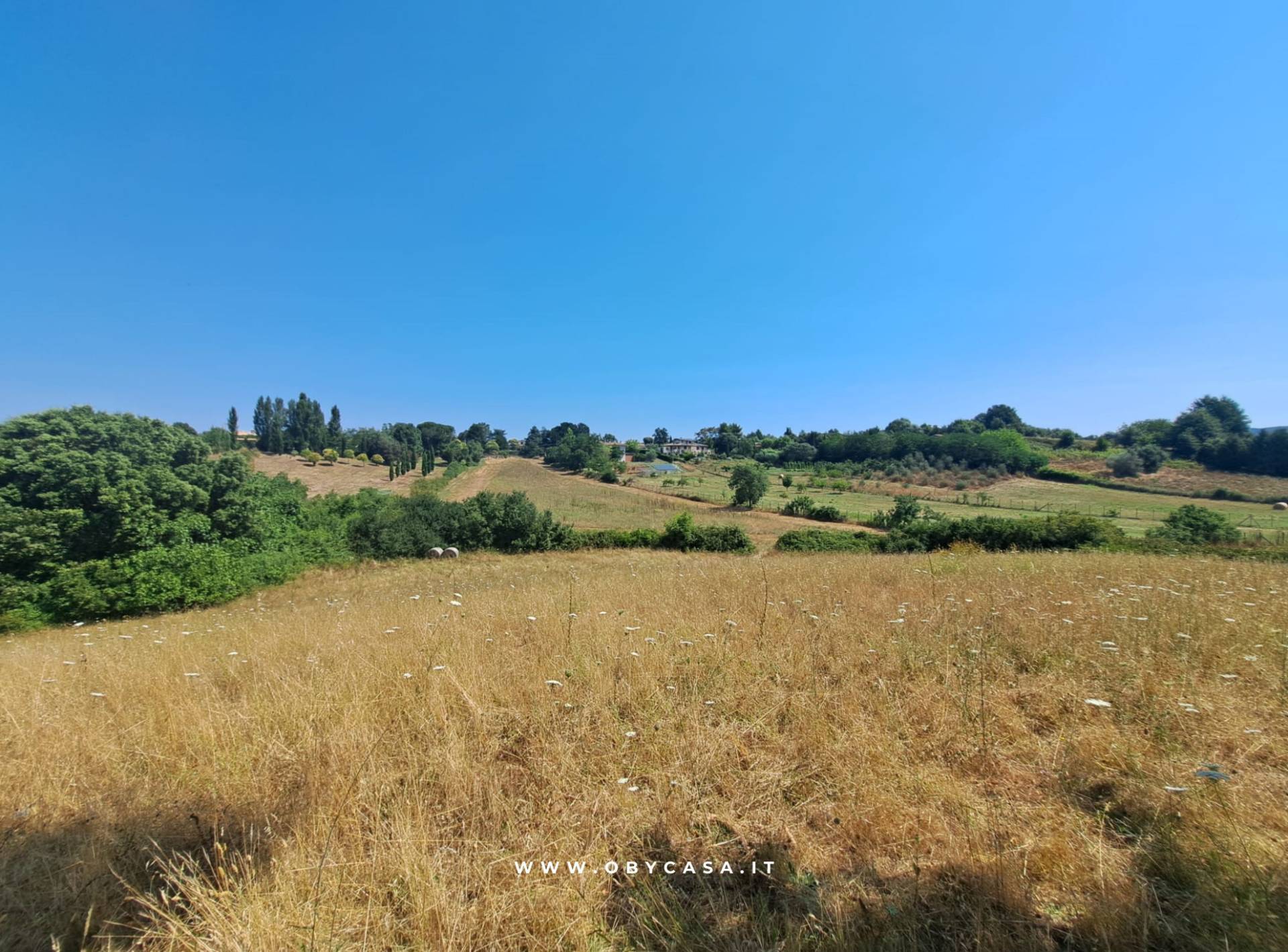 Terreno Agricolo in vendita a Oriolo Romano