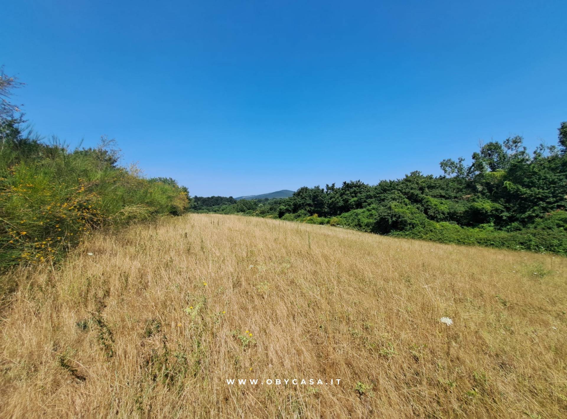 Terreno Agricolo in vendita a Oriolo Romano