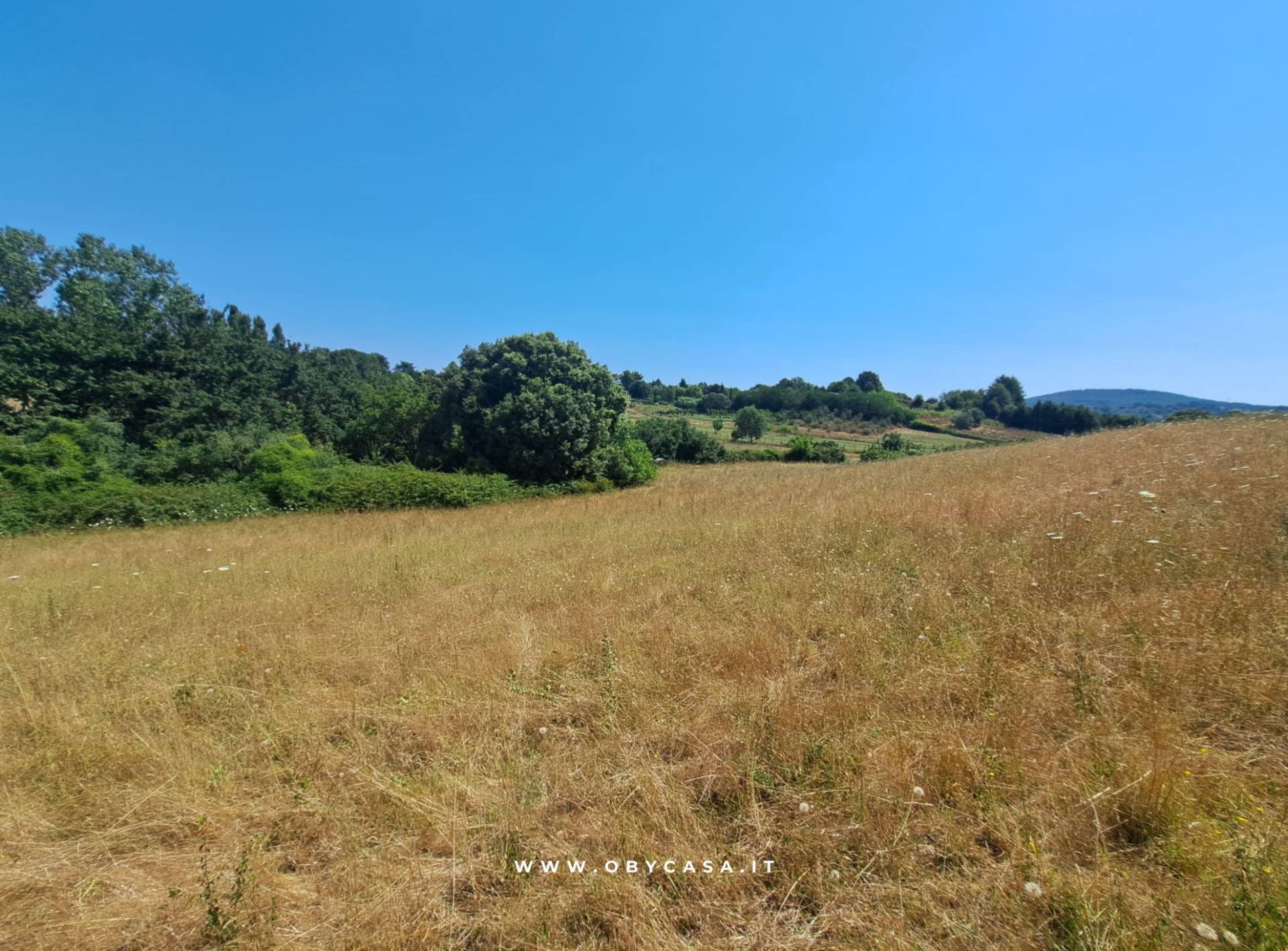 Terreno Agricolo in vendita a Oriolo Romano
