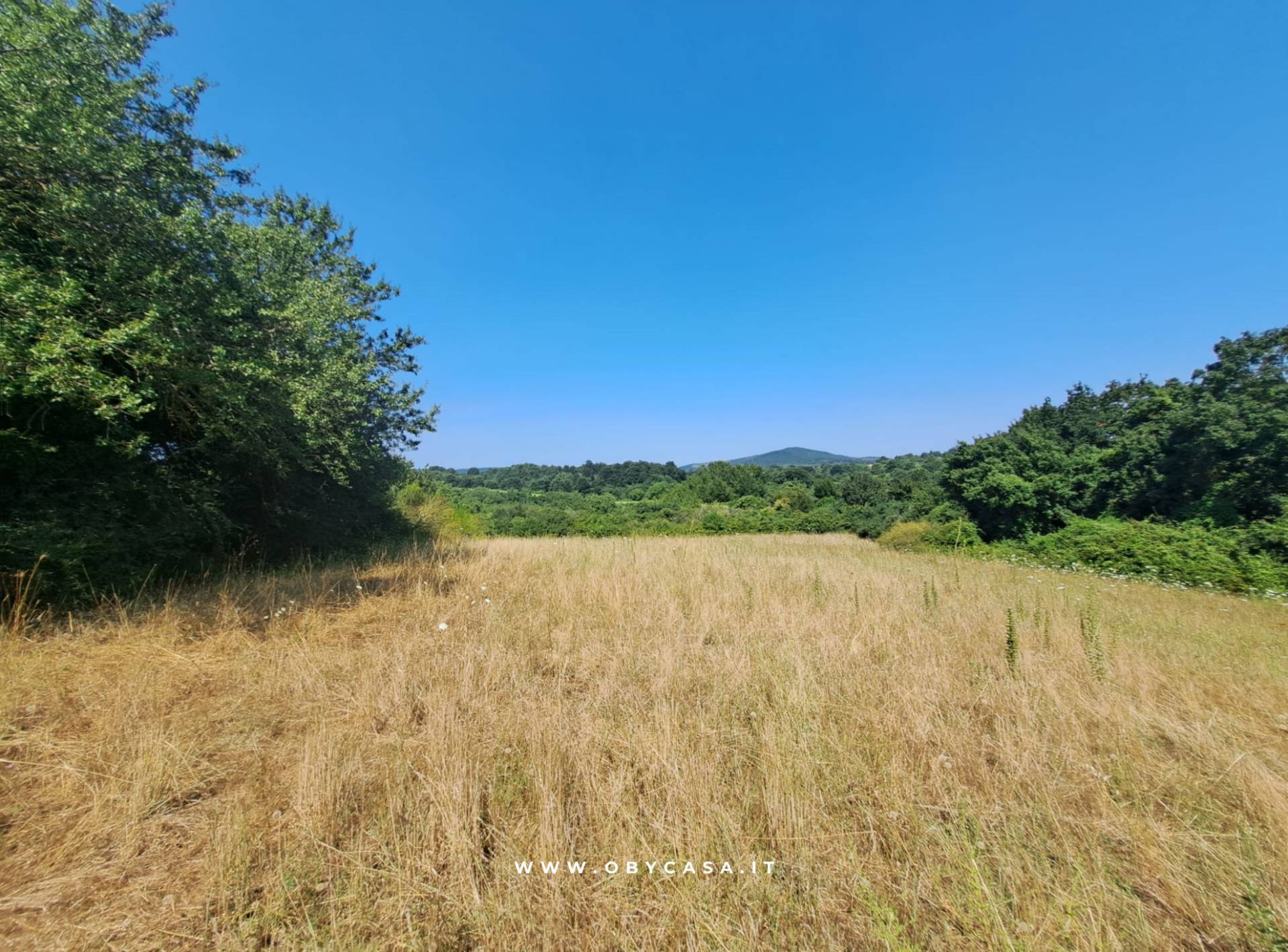 Terreno Agricolo in vendita a Oriolo Romano
