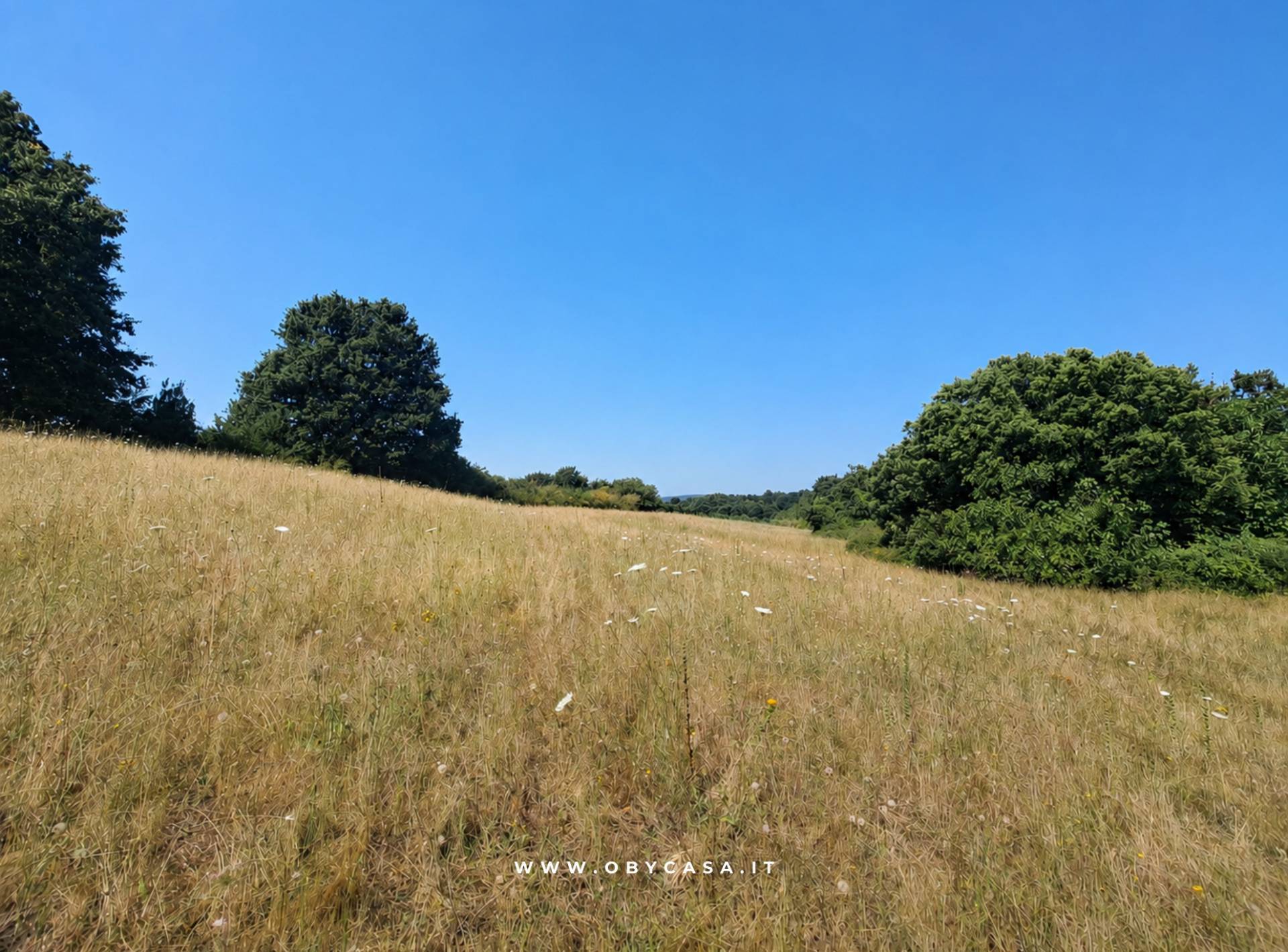Terreno Agricolo in vendita a Oriolo Romano