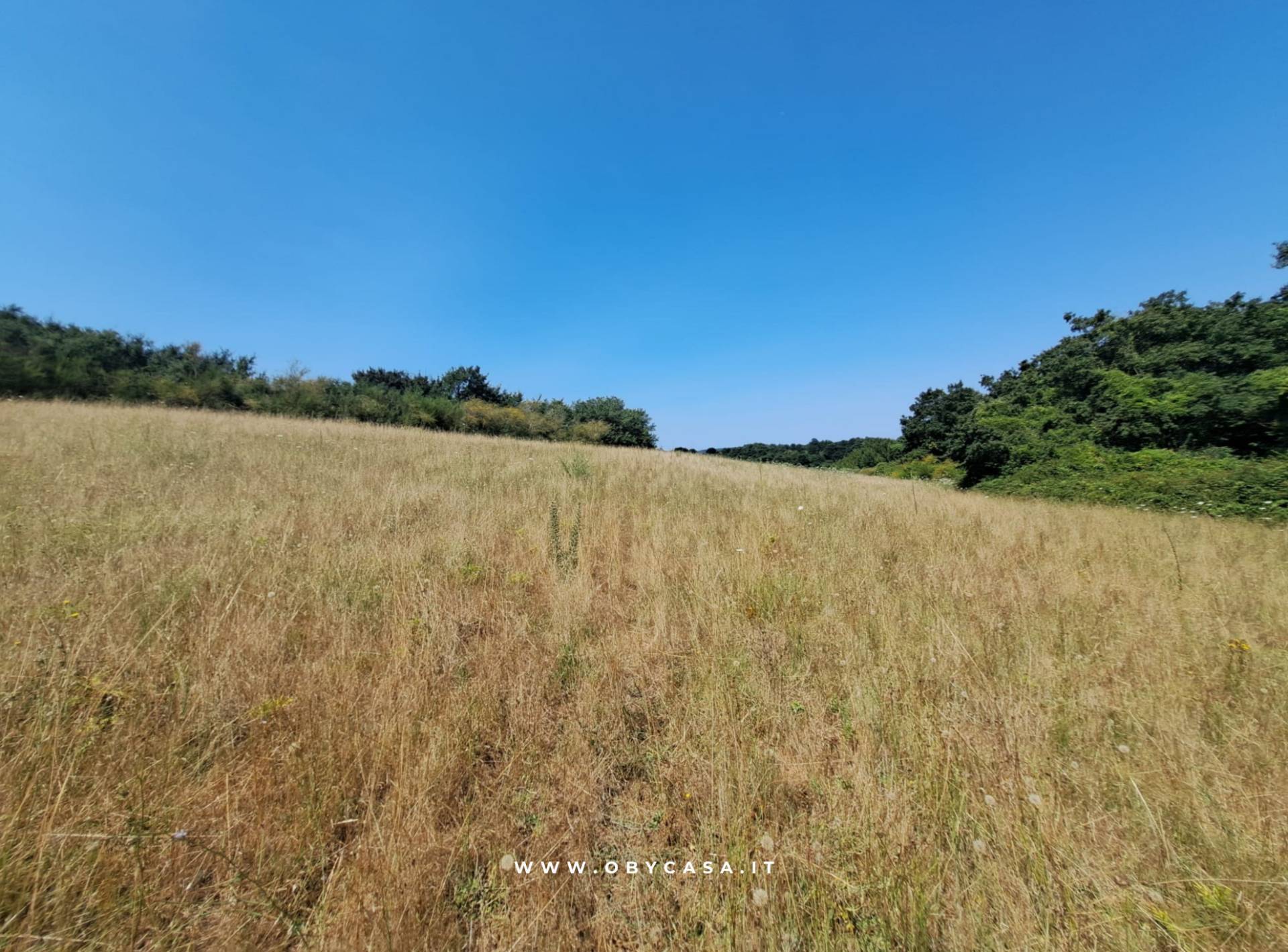Terreno Agricolo in vendita a Oriolo Romano