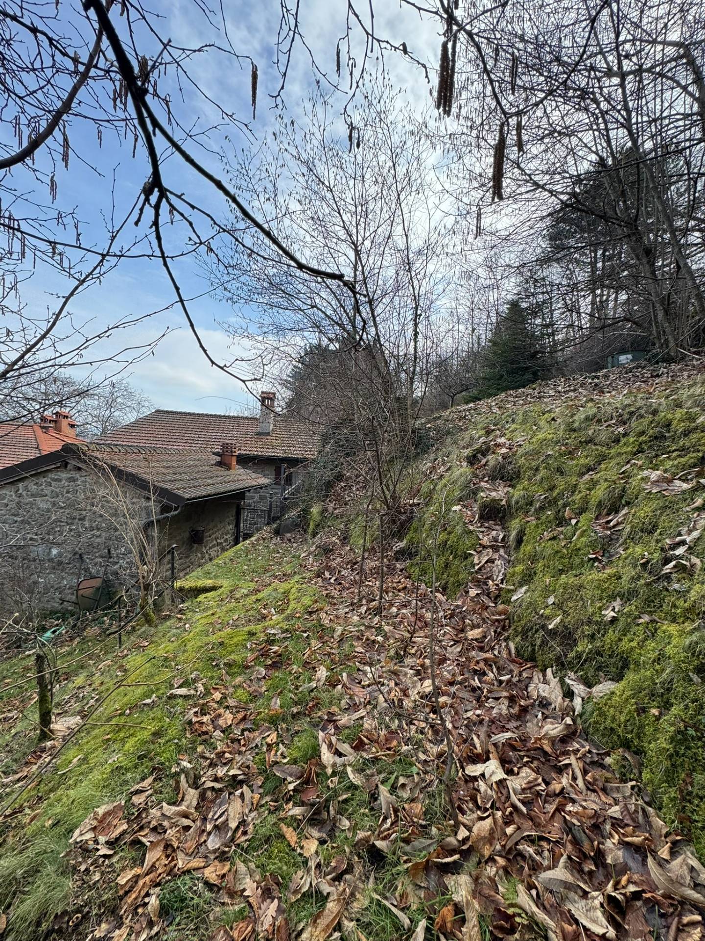 Casa singola in vendita a Montemignaio