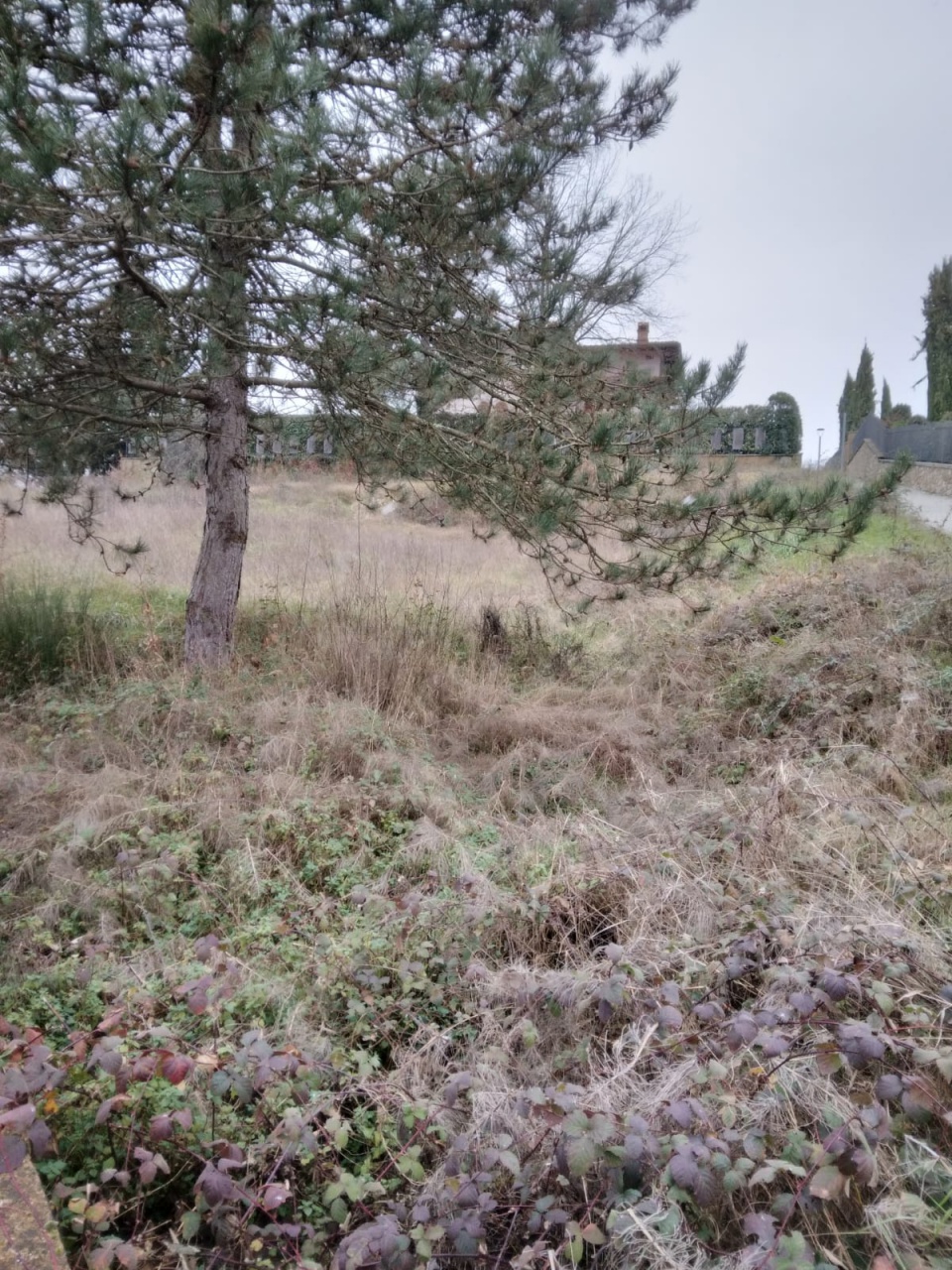 Terreno edificabile in vendita a Bibbiena