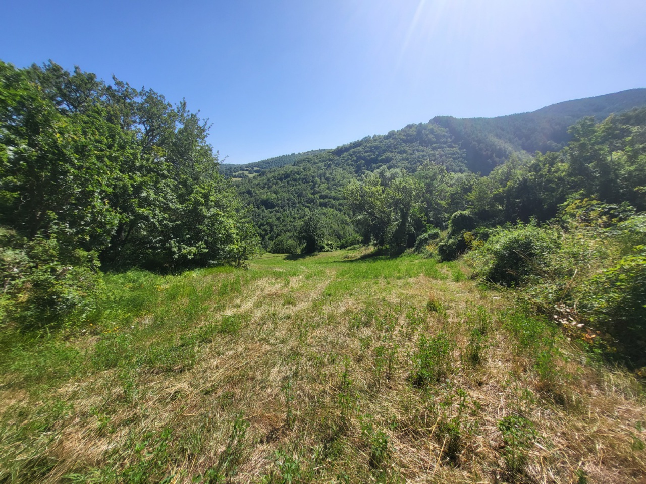 Terreno Agricolo in vendita a Chiusi della Verna