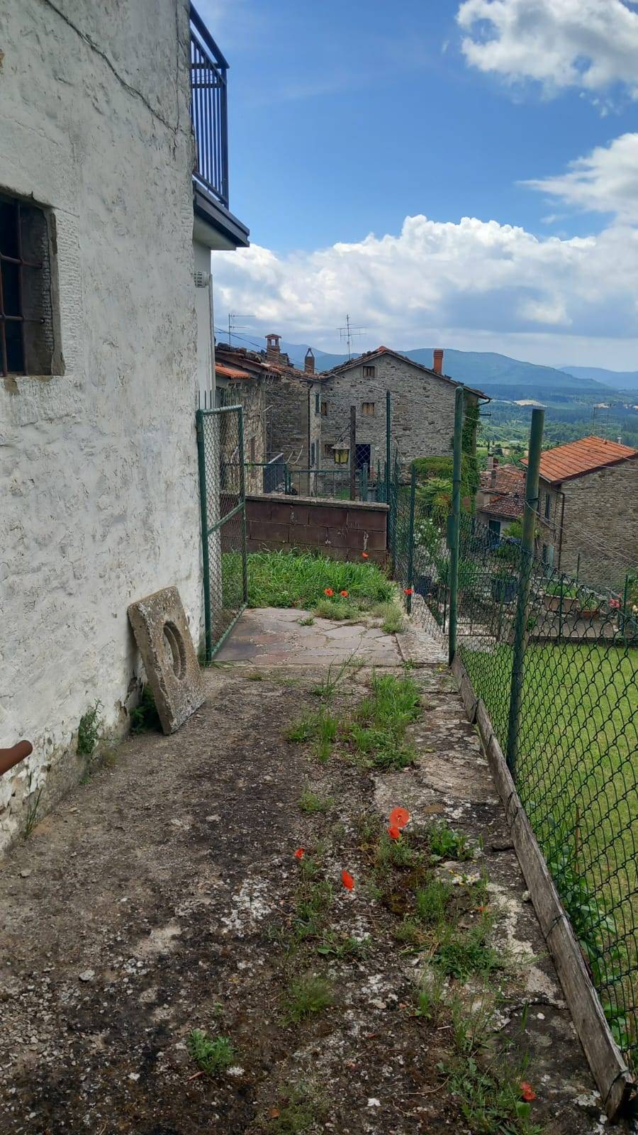 immagine annuncio 1 di 6