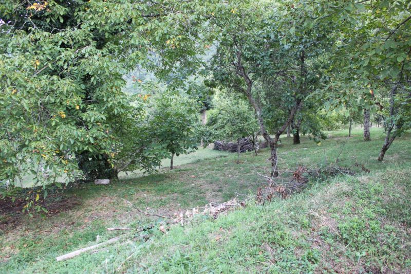 Stabile/Palazzo in vendita a Castel San Niccol