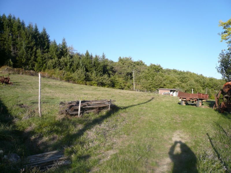 Stabile/Palazzo in vendita a Poppi