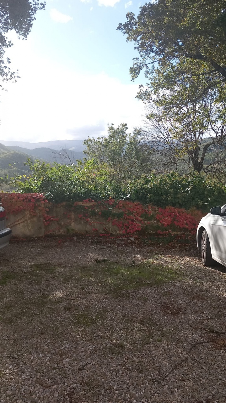 Appartamento in vendita a Castel San Niccol