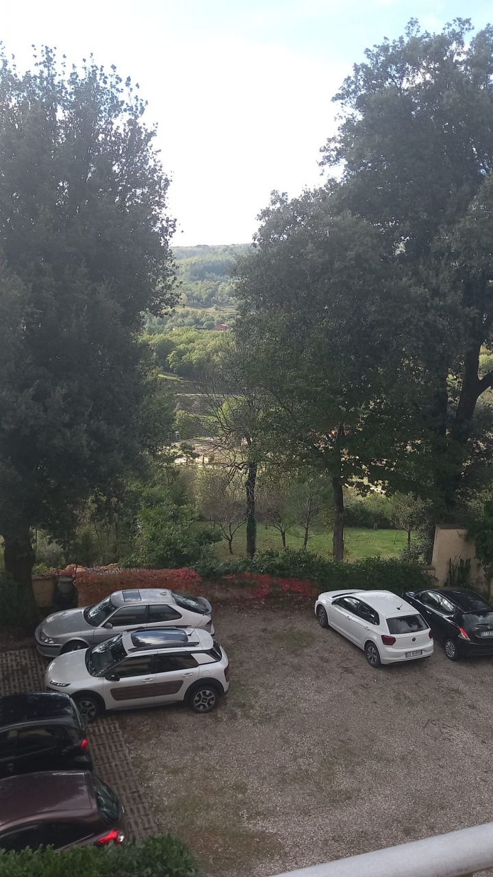 Appartamento in vendita a Castel San Niccol